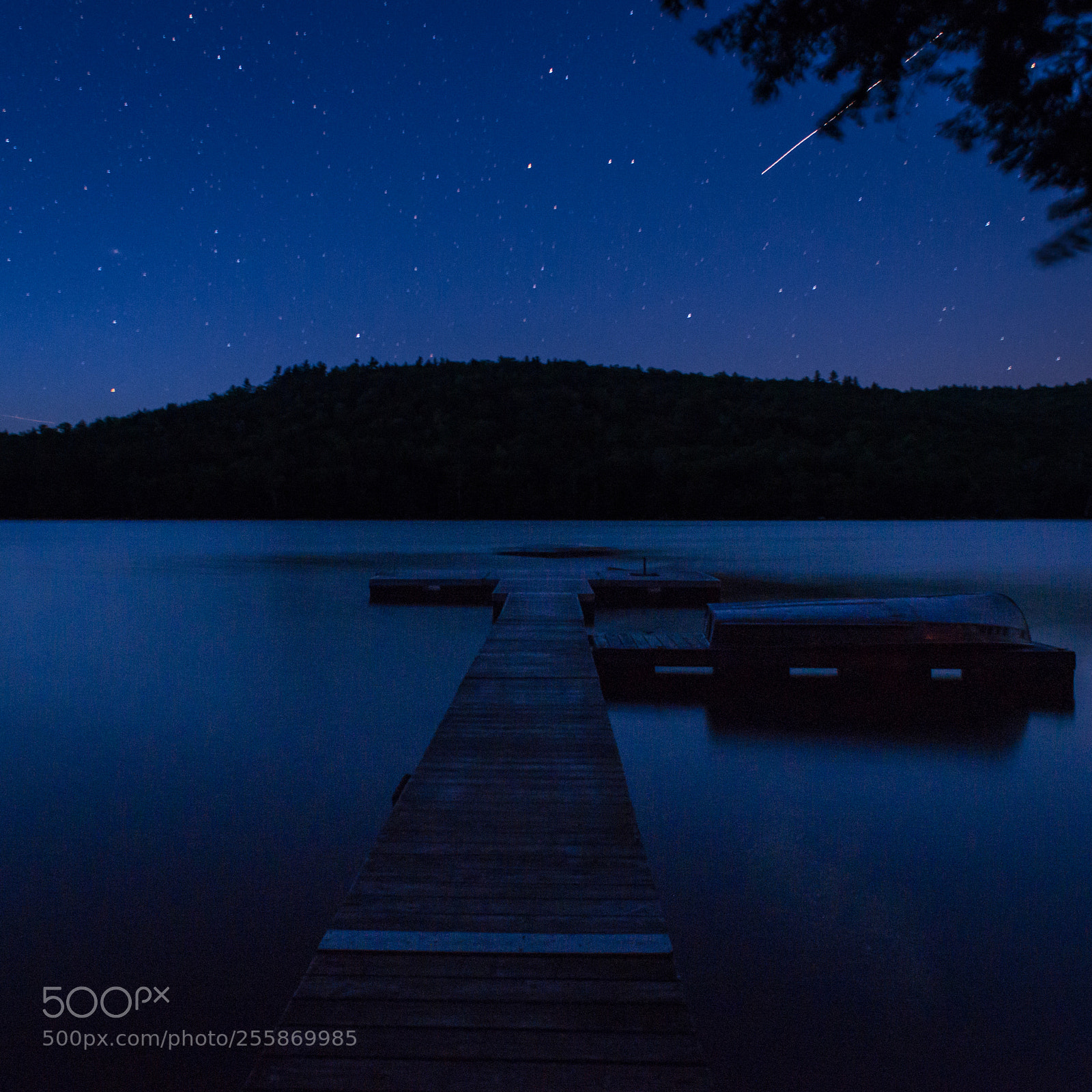 Nikon D600 sample photo. Starlake photography