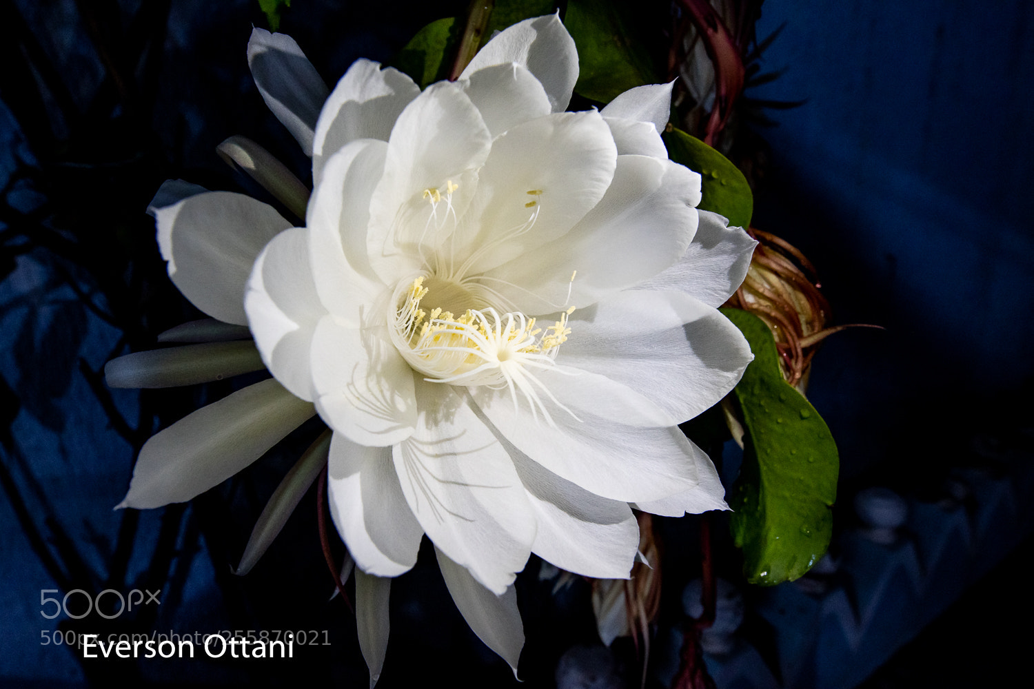 Nikon D500 sample photo. 14mm photography