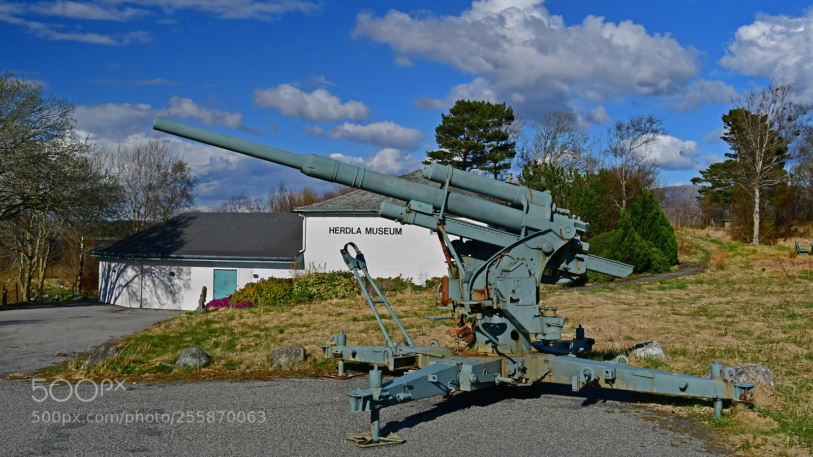 Nikon D500 sample photo. Old cannon photography