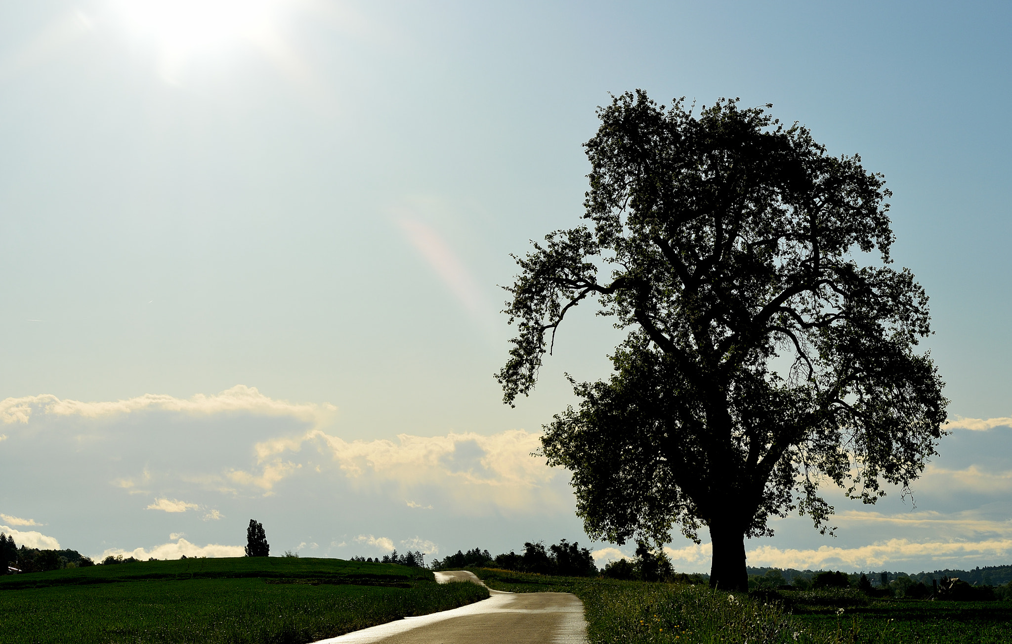 Nikon D3300 sample photo. Sky photography