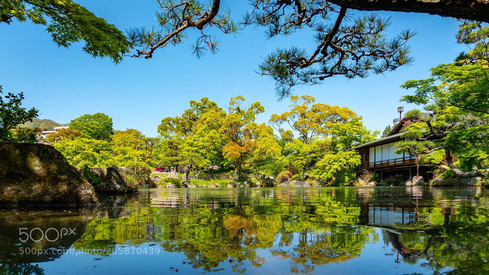 Sony a6300 sample photo. Soraku-en photography