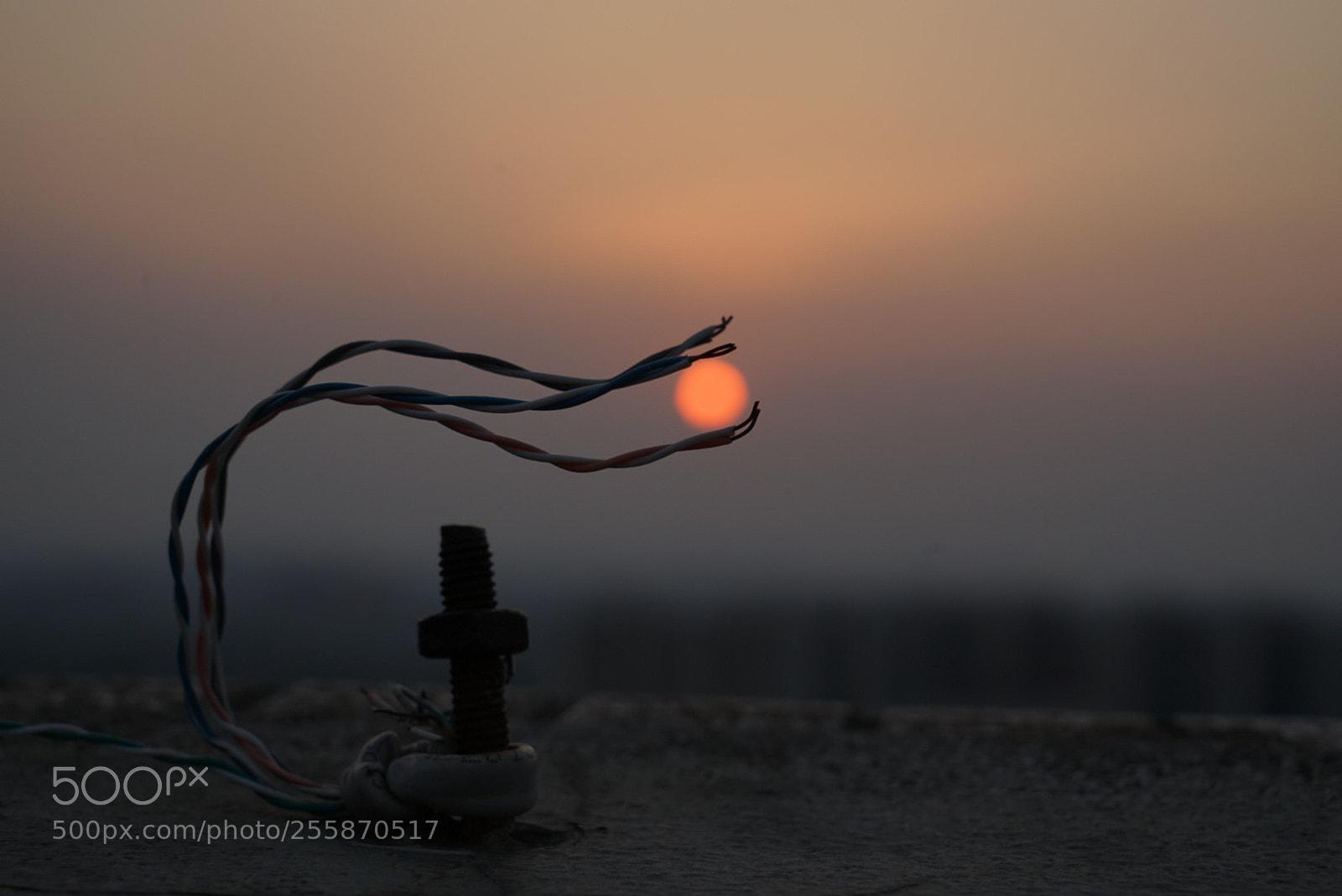 Sony a7 II sample photo. Untitled photography