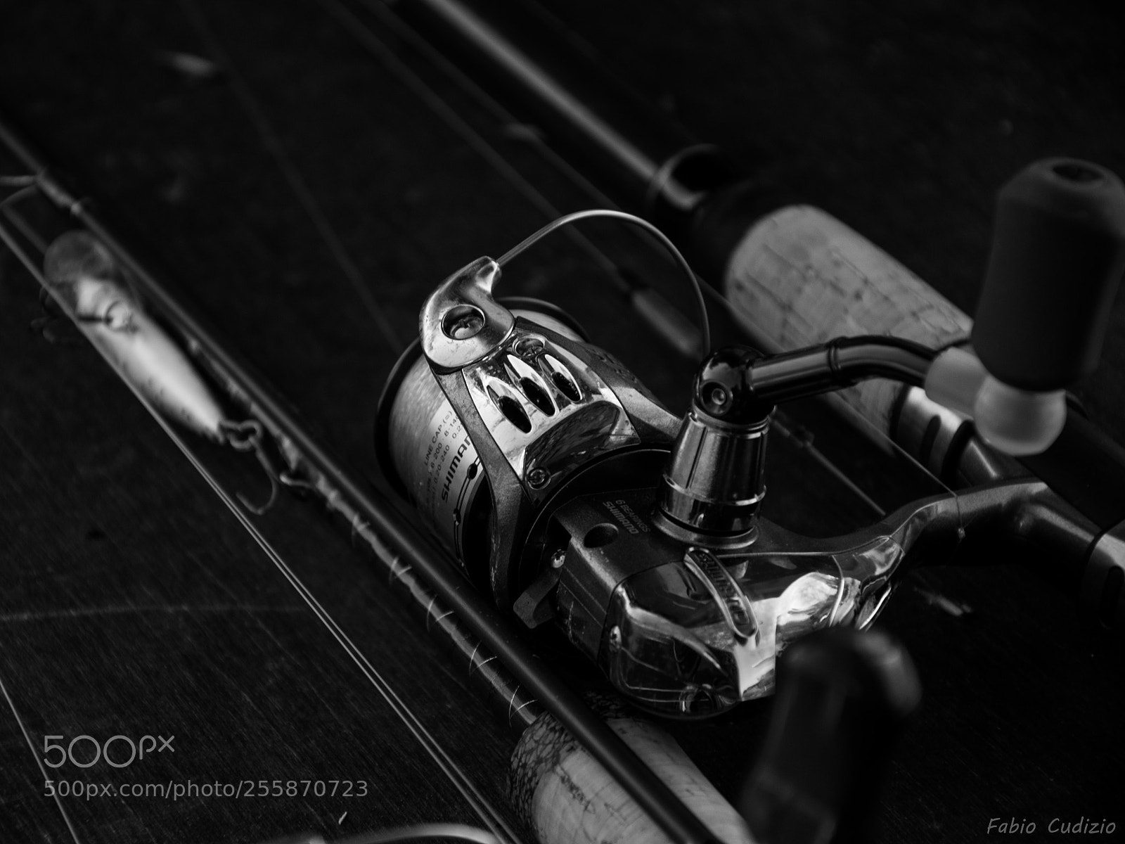 Nikon D3300 sample photo. Canna da pesca photography