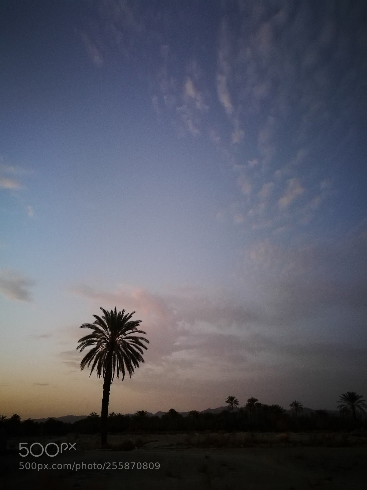 HUAWEI P9 sample photo. Mde photography