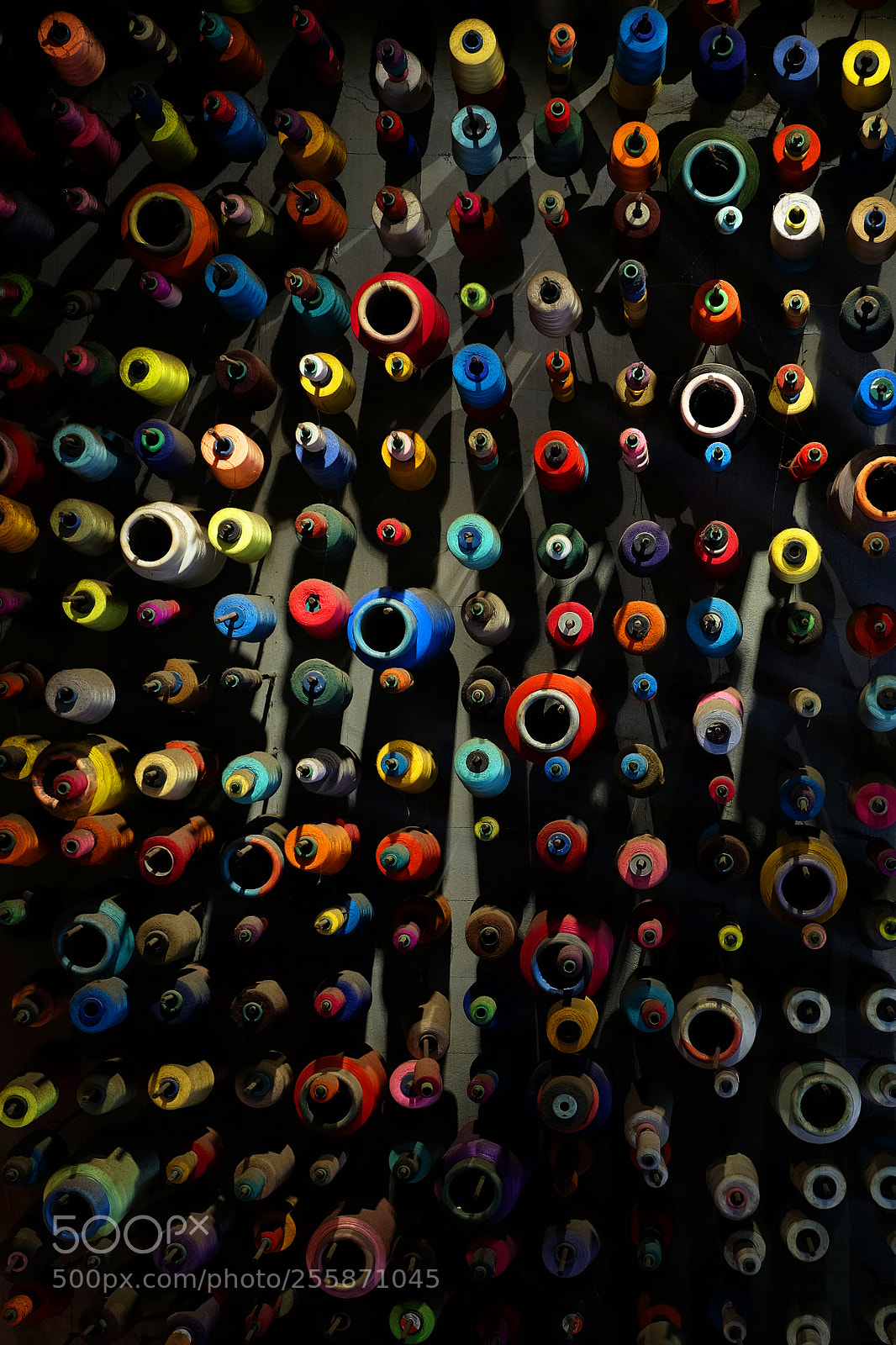 Fujifilm X-E2 sample photo. Colorful photography