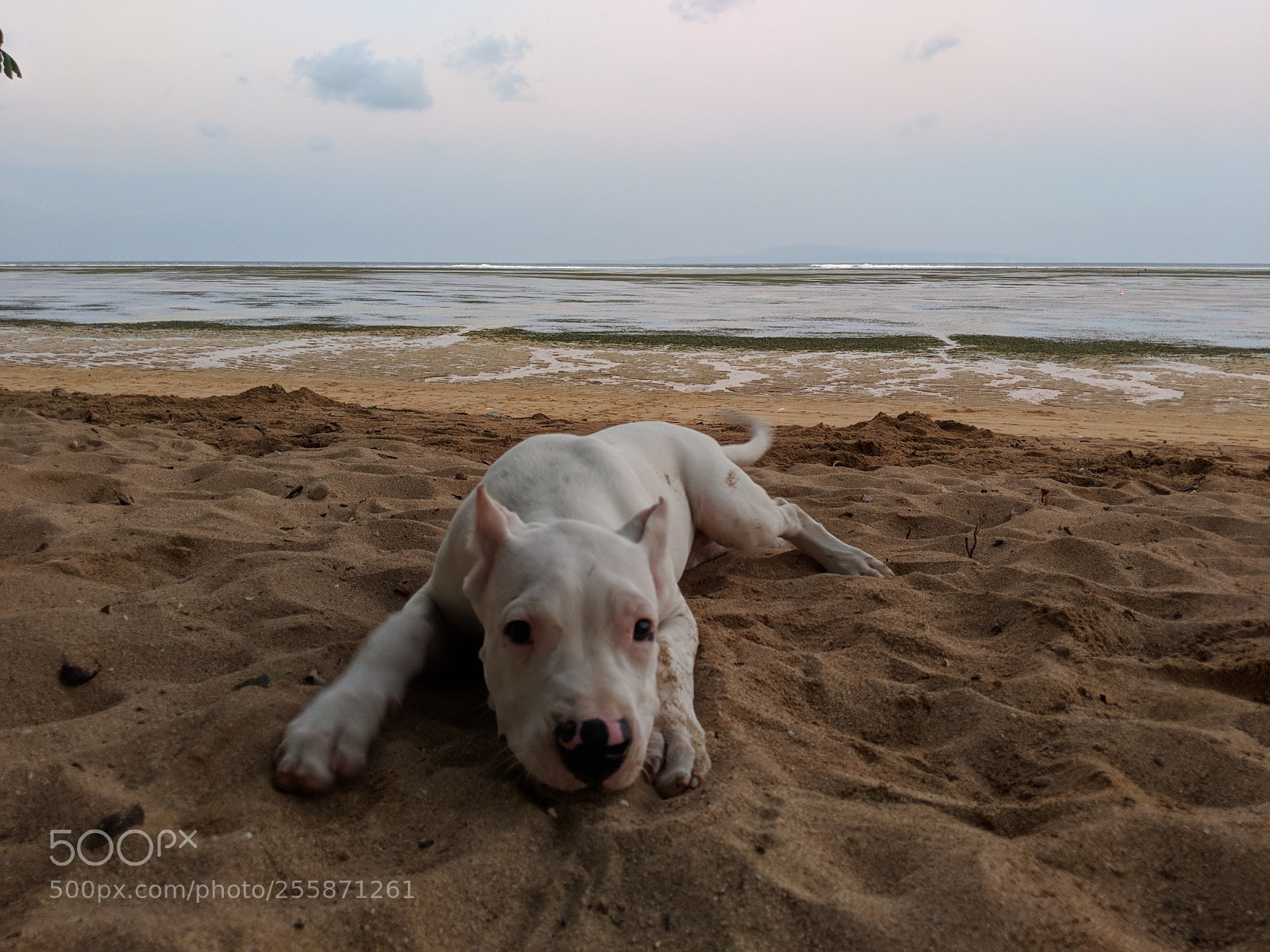 Google Pixel 2 XL sample photo. Untitled photography