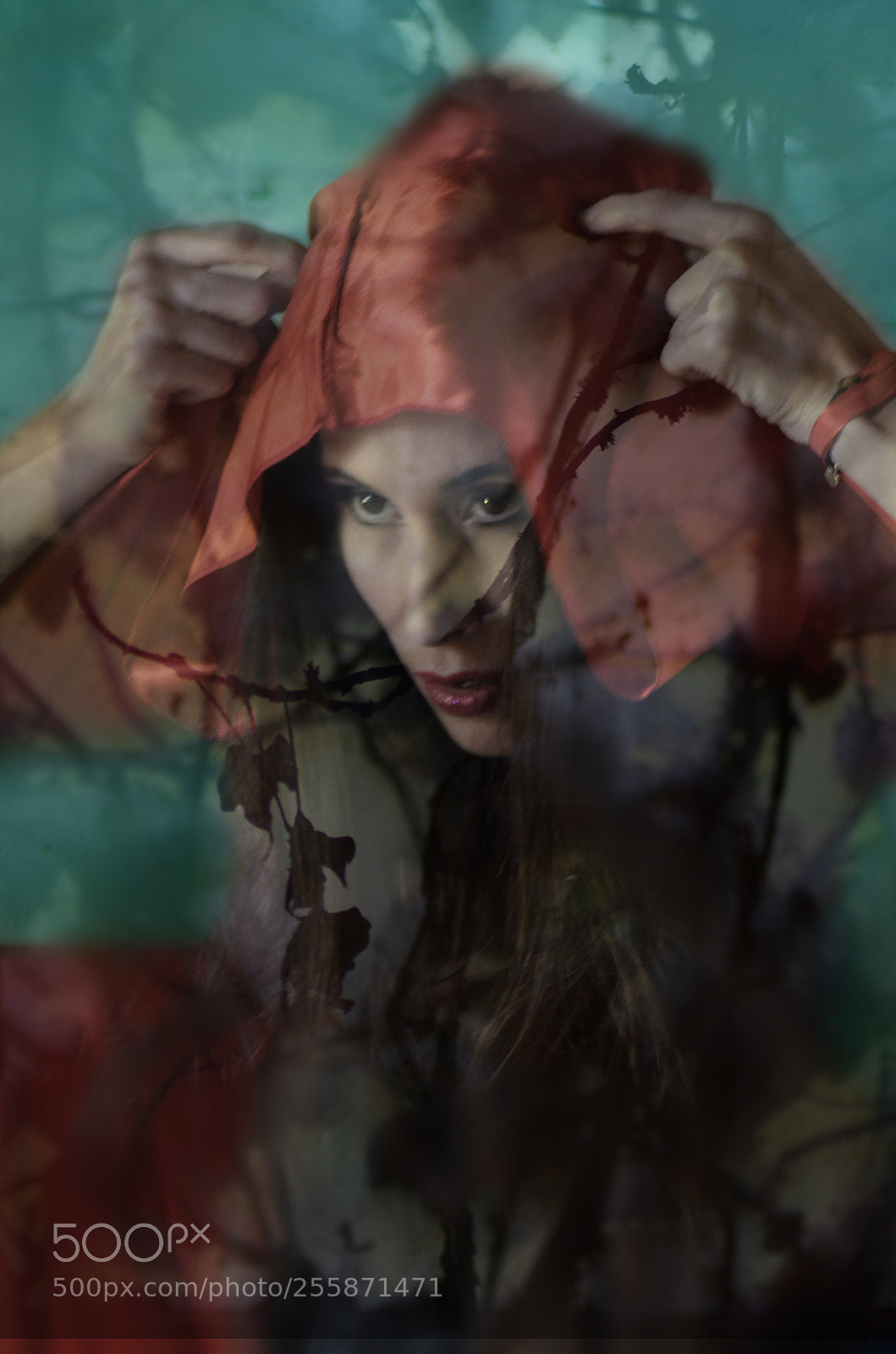 Nikon D5100 sample photo. Little red riding hood photography