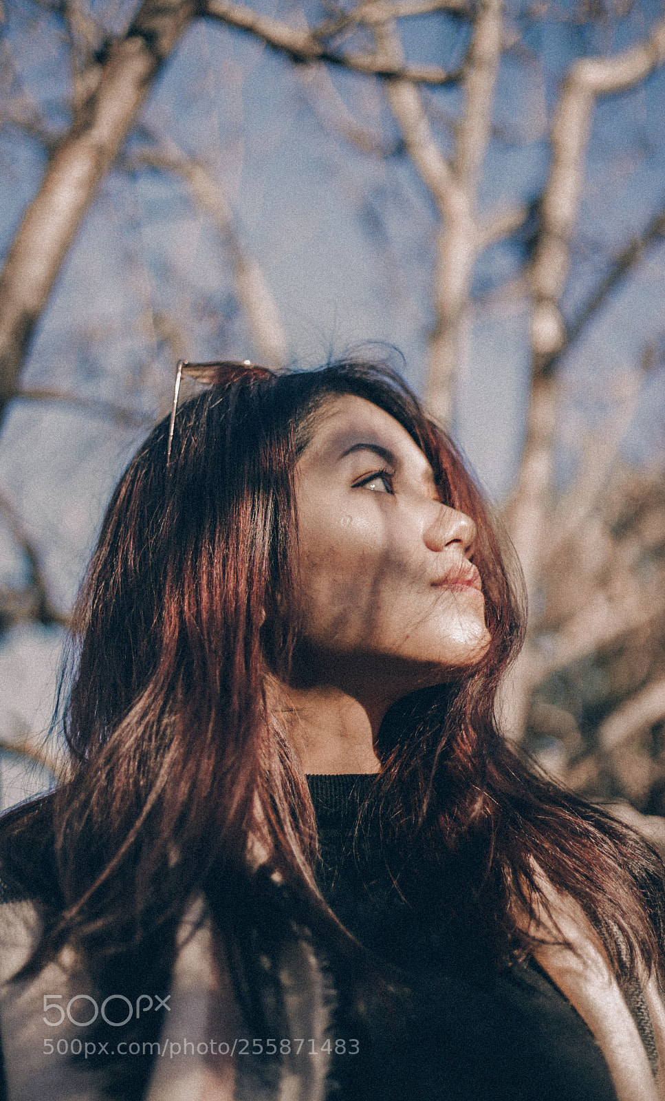Canon EOS 6D sample photo. Golden hour photography