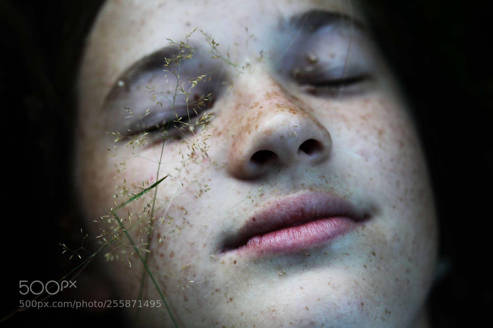 Canon EOS 5D Mark II sample photo. ''blind intuition'' photography