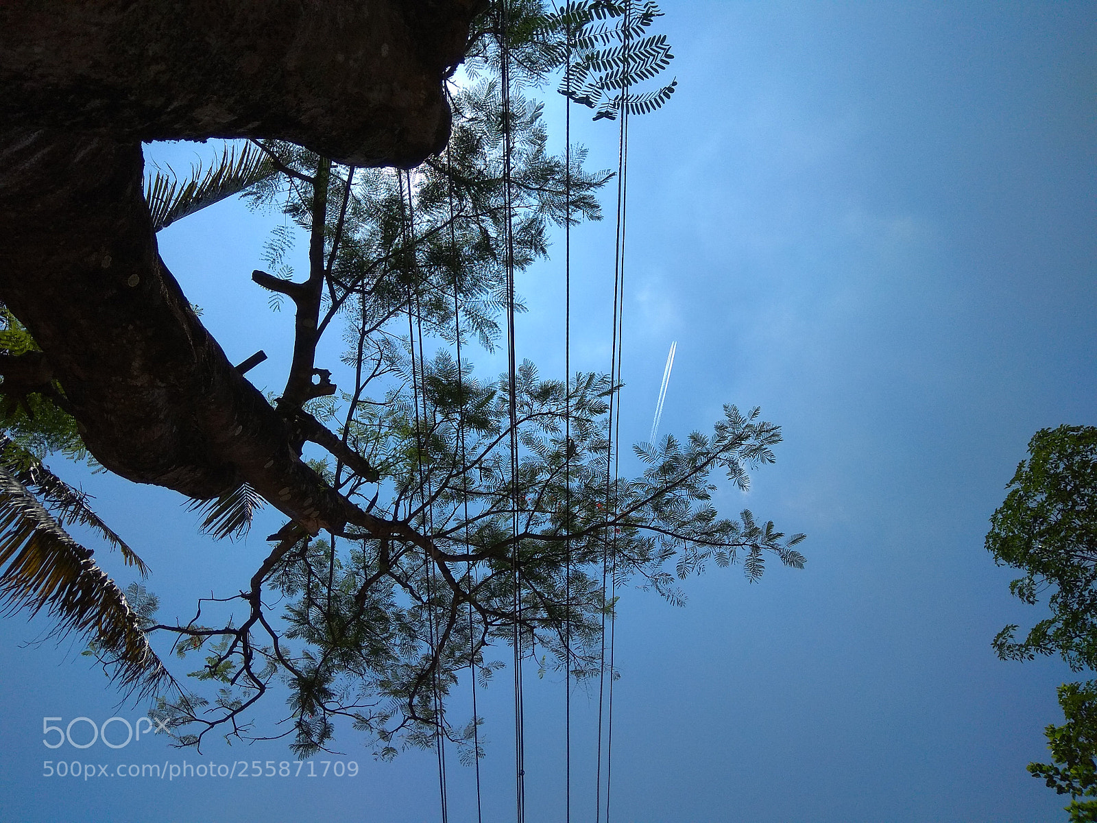 Xiaomi Redmi Note 4 sample photo. Sky way photography