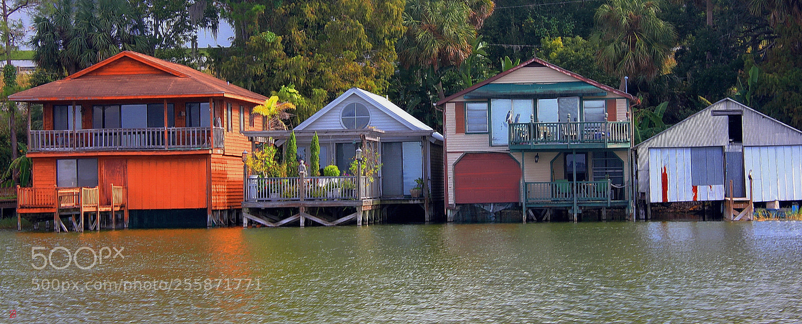 Canon EOS 550D (EOS Rebel T2i / EOS Kiss X4) sample photo. Living on the lake photography