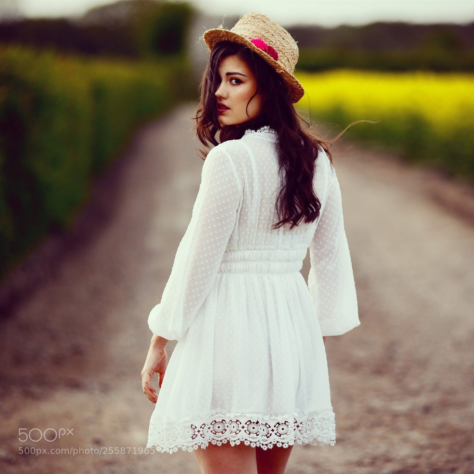 Canon EOS 5D Mark IV sample photo. English blossom photography