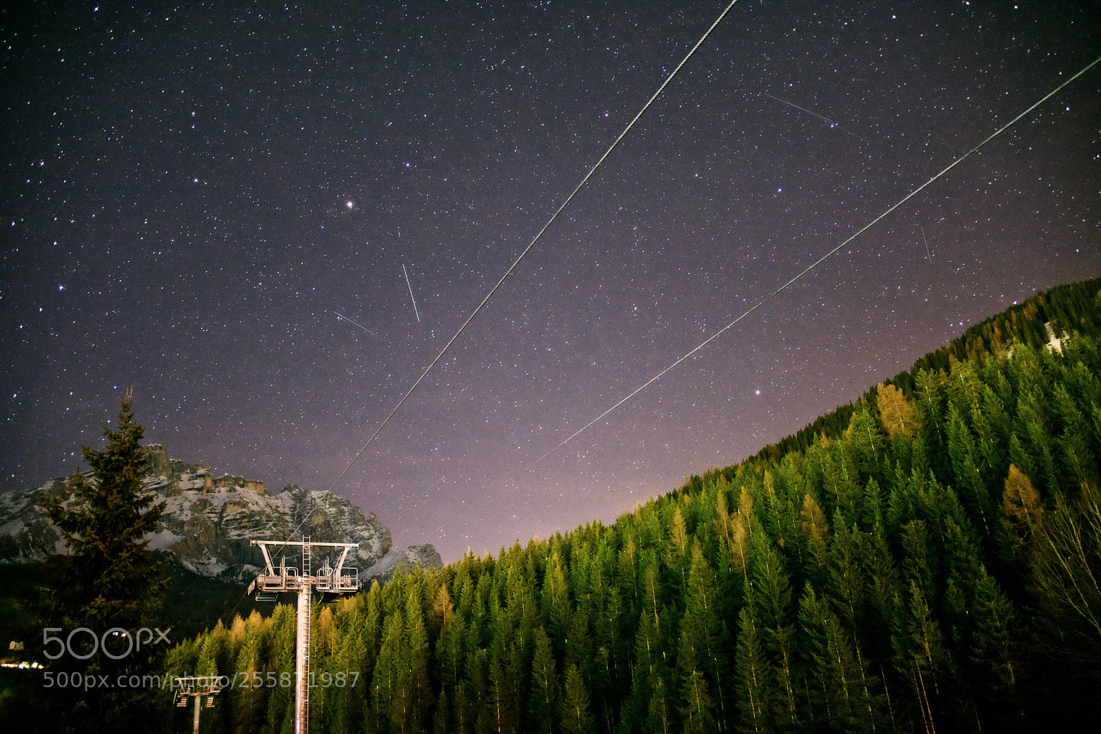 Nikon D7100 sample photo. The alpine forest photography