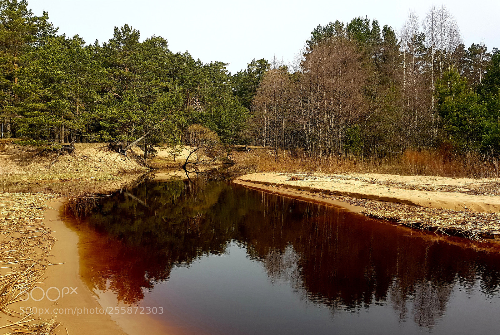 Samsung Galaxy S8+ sample photo. Kauksi stream photography