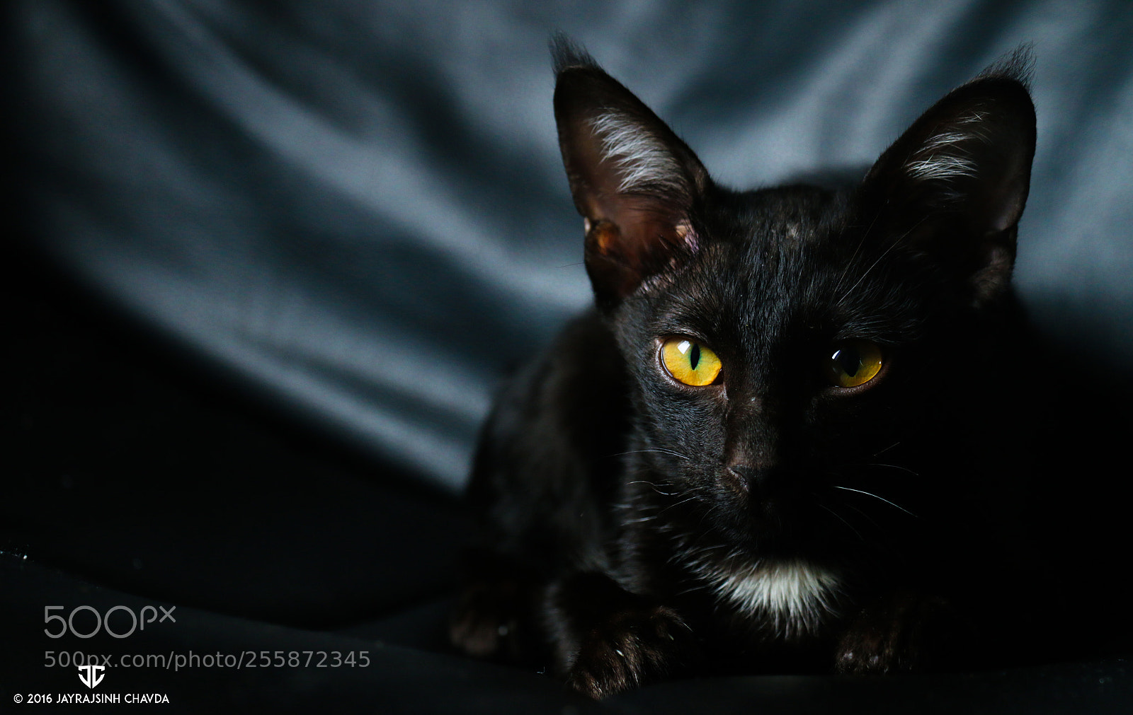 Canon EOS 70D sample photo. Floyd photography