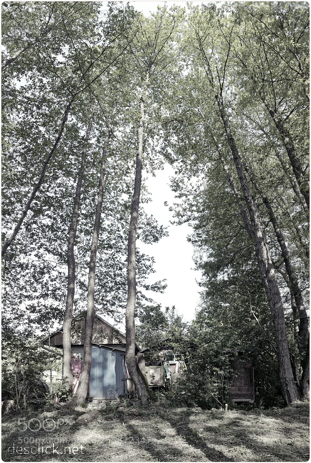 Samsung Galaxy Note4 sample photo. Old shack in the photography