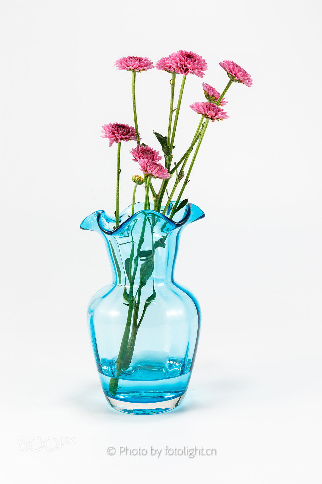 Canon EOS 5D Mark IV sample photo. Flower photography