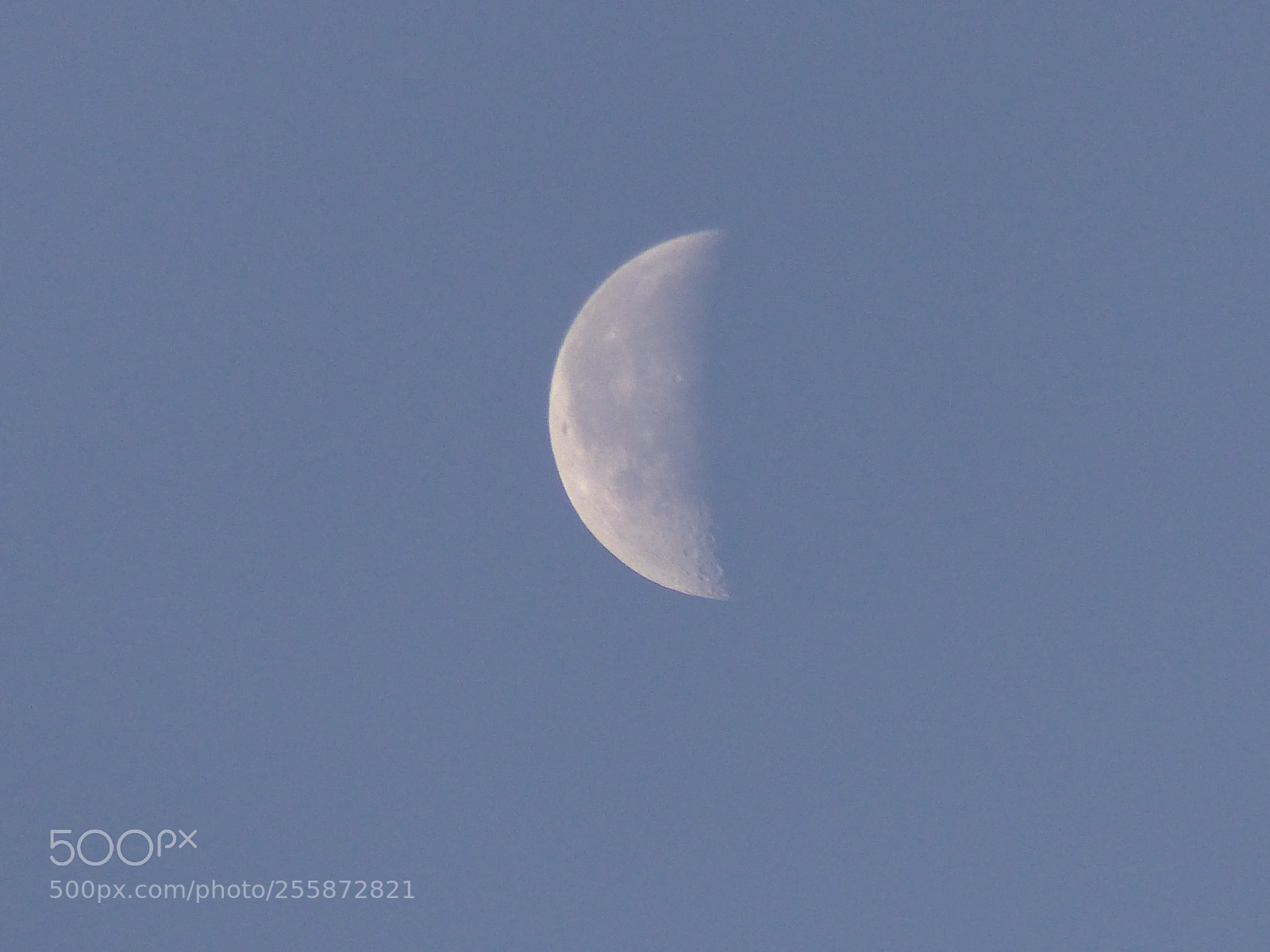 Panasonic Lumix DMC-FZ200 sample photo. Half moon photography