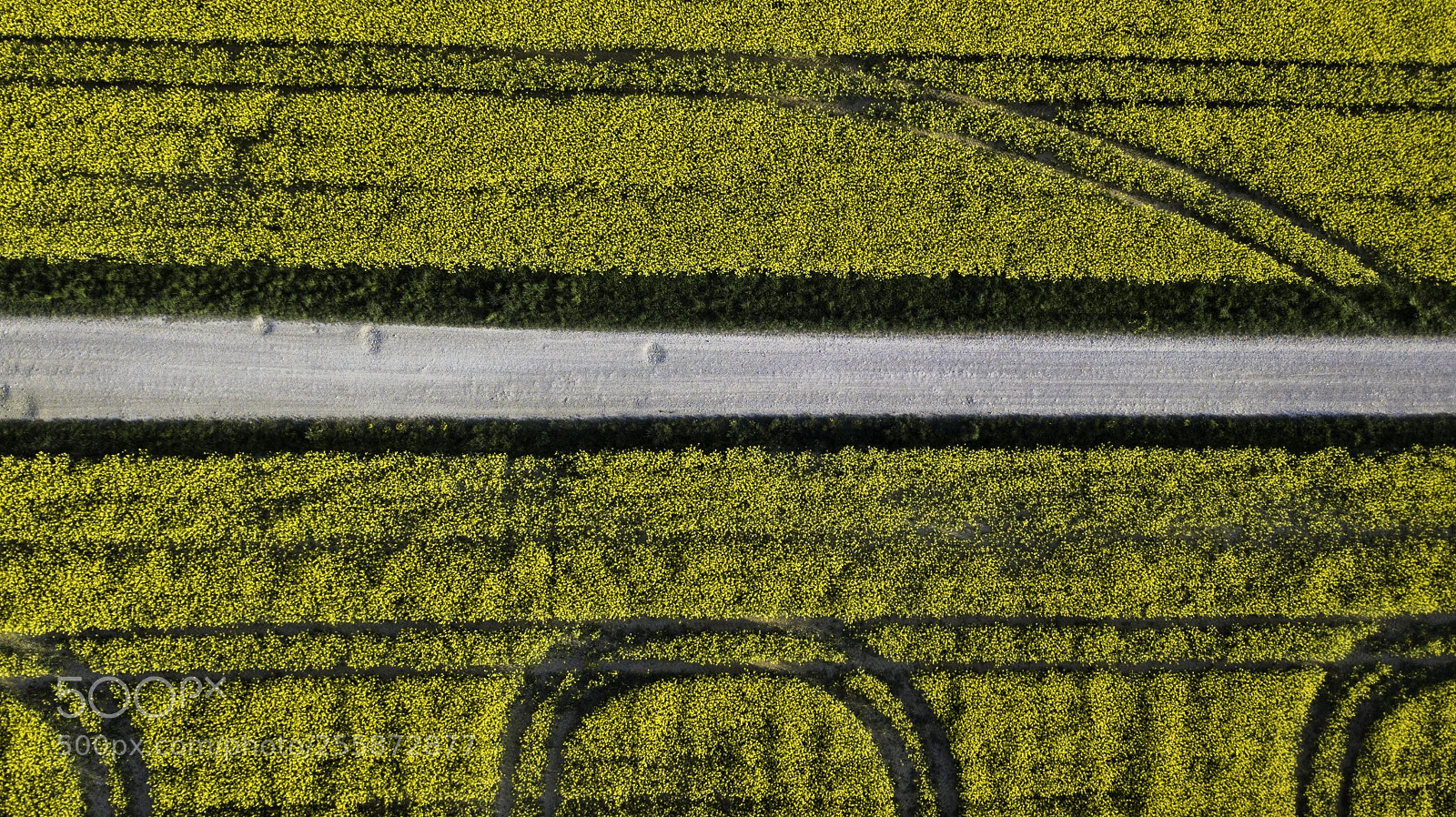 DJI FC220 sample photo. Raps photography