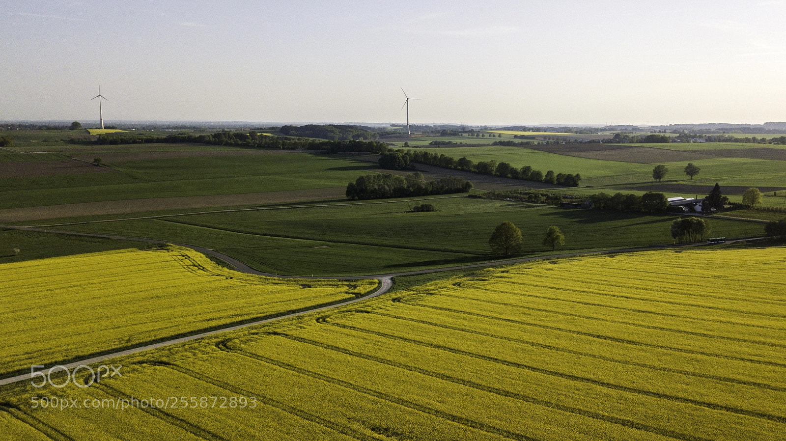 DJI FC220 sample photo. Raps photography