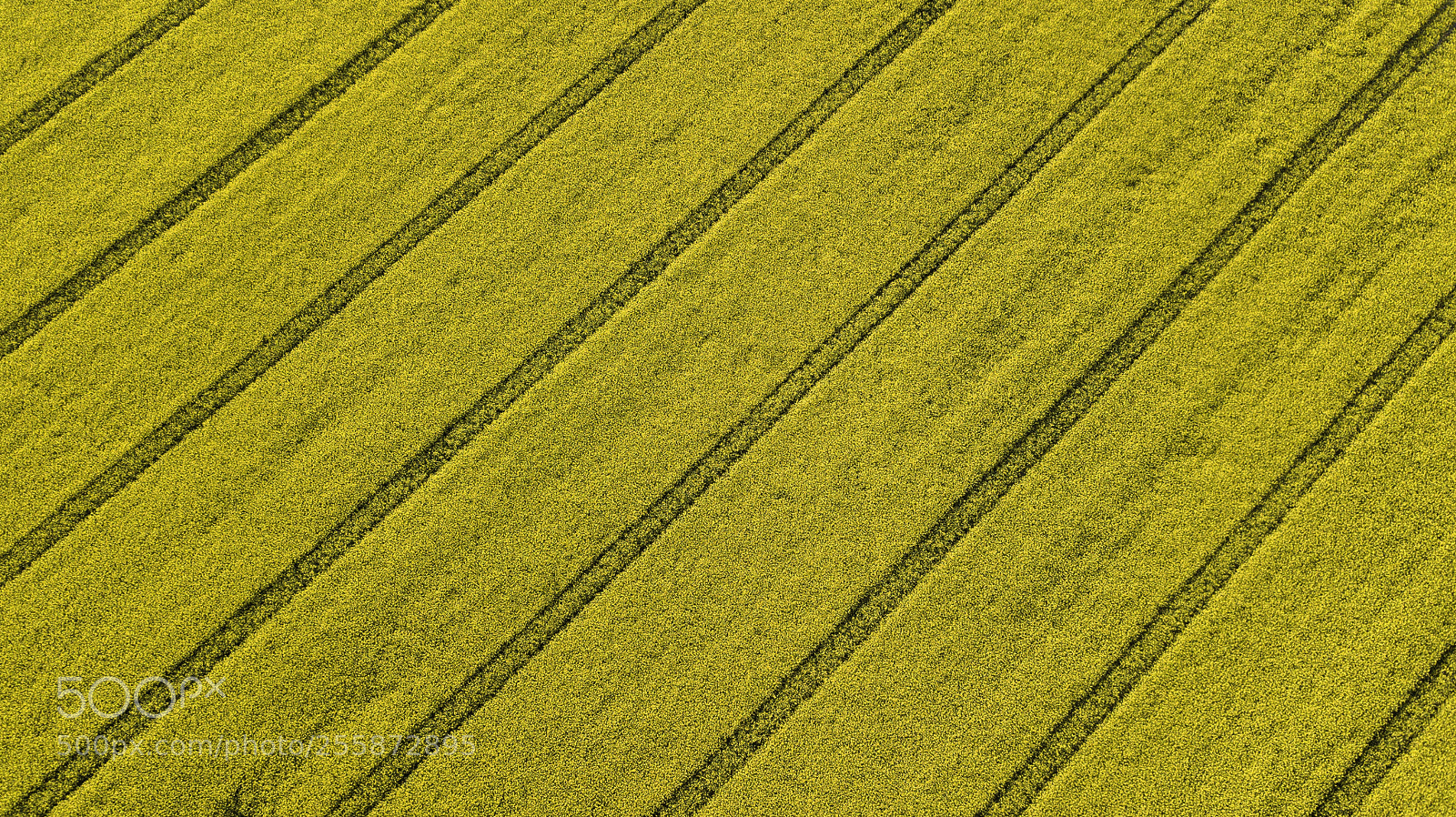 DJI FC220 sample photo. Raps photography