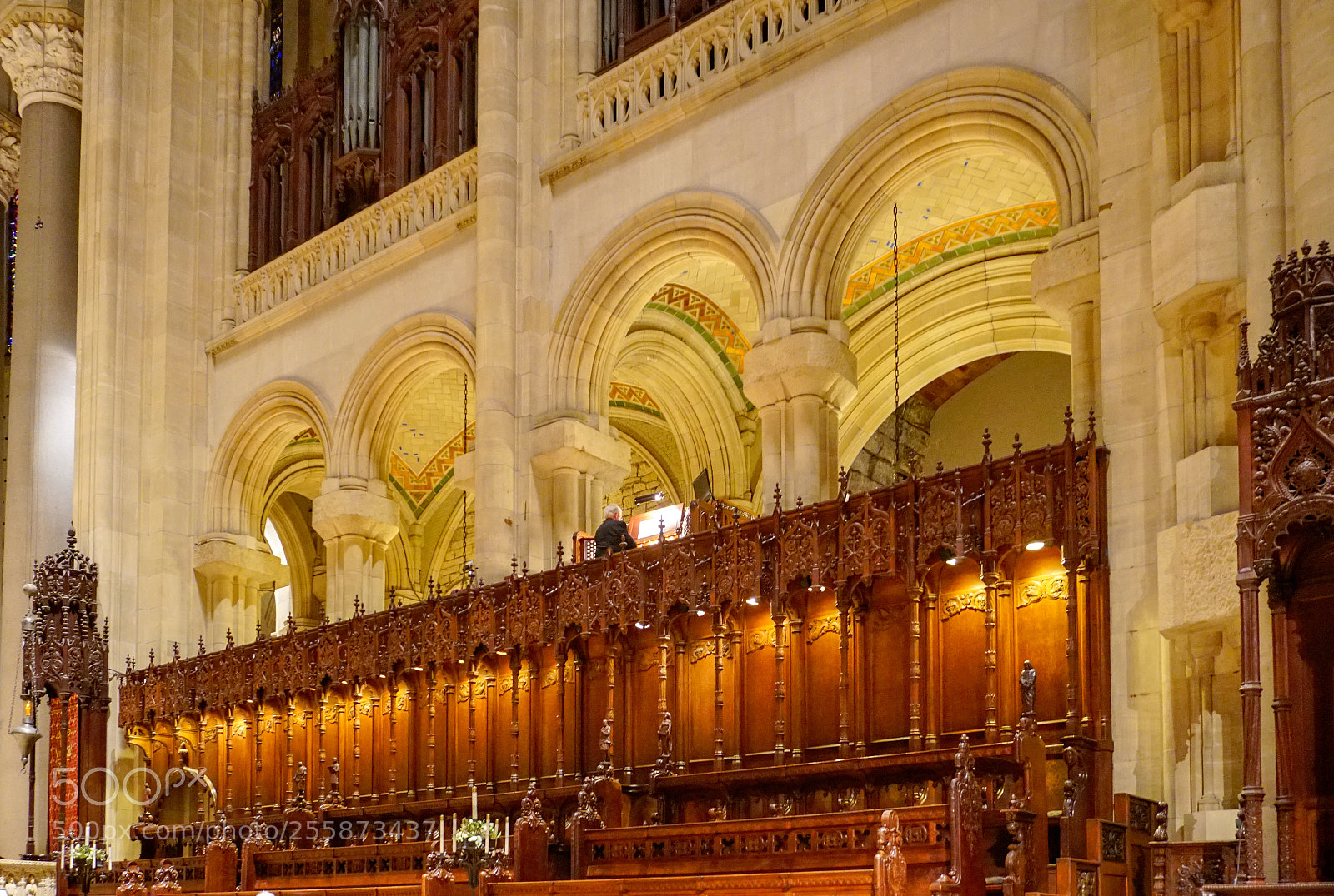 Sony a6300 sample photo. The organist whithin photography