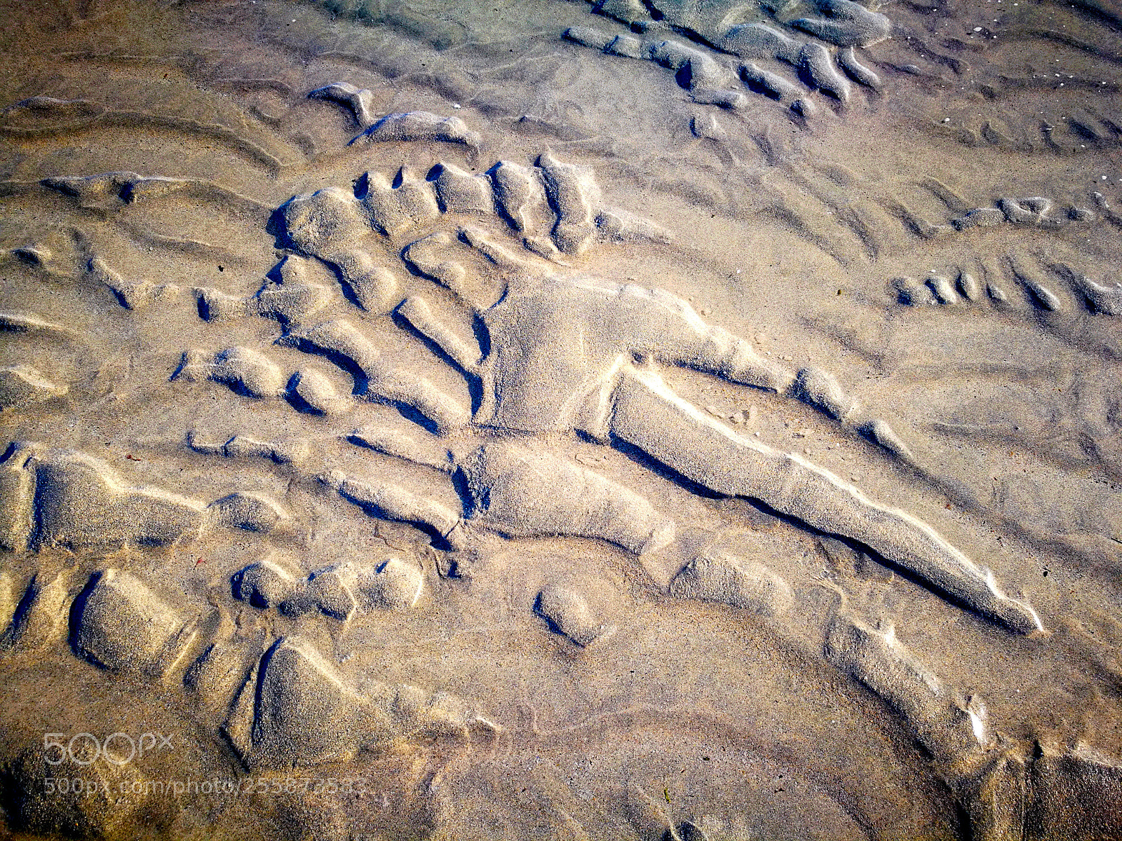 HUAWEI P9 sample photo. Like a fossilized bones photography
