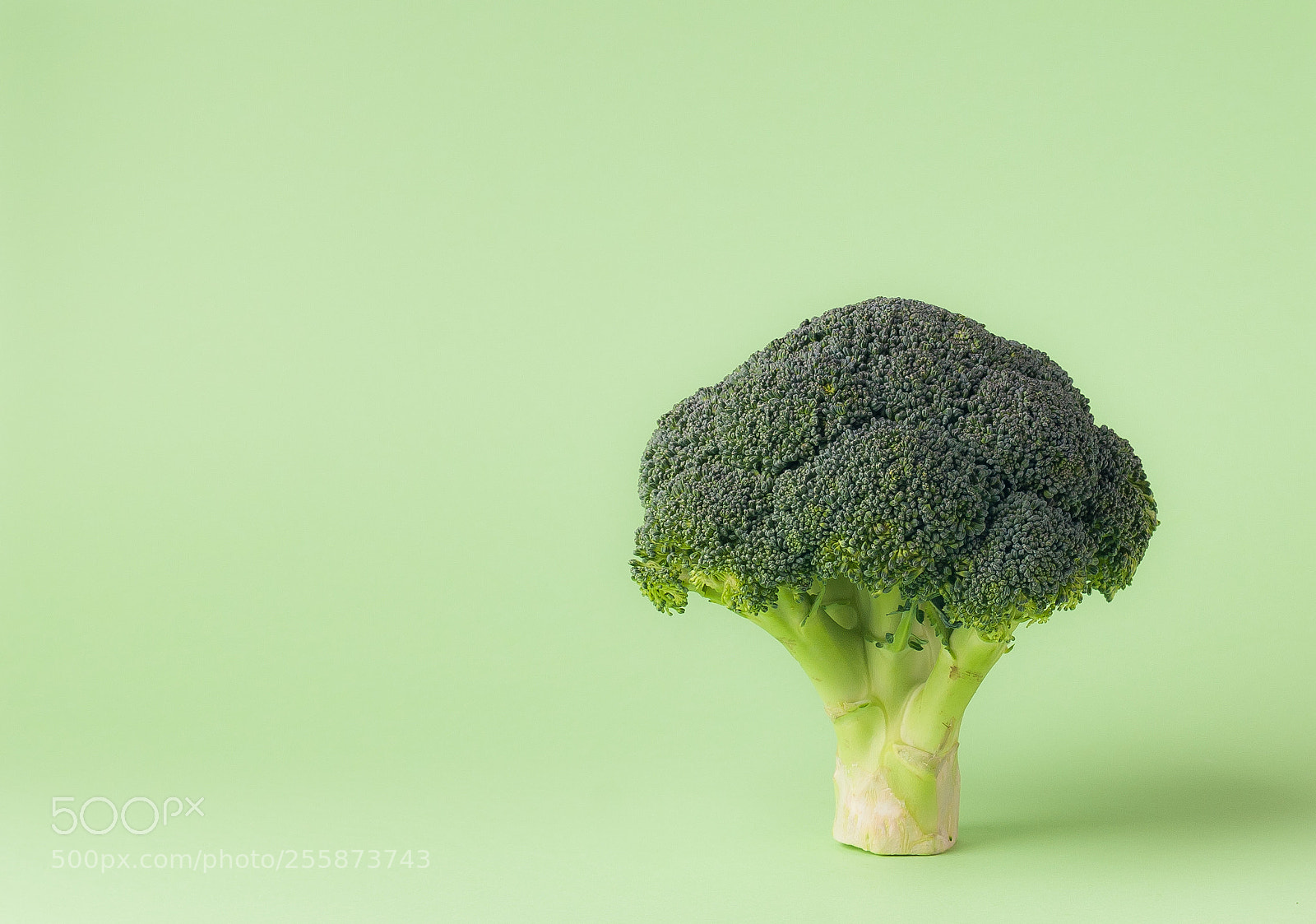 Nikon D200 sample photo. Broccoli photography
