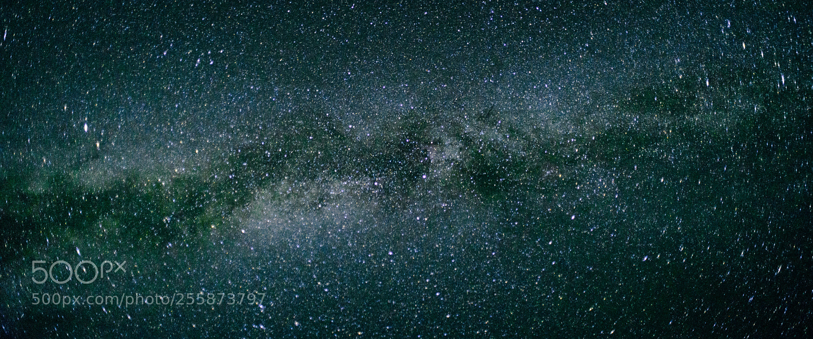 Nikon D600 sample photo. Yosemite milky way photography