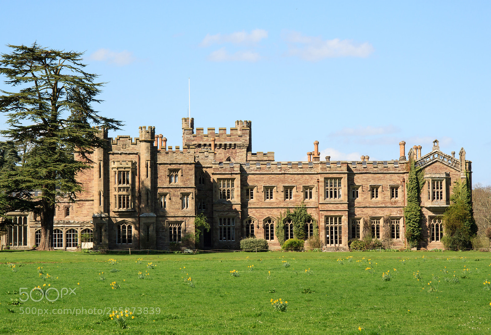 Canon EOS 500D (EOS Rebel T1i / EOS Kiss X3) sample photo. Hampton court castle photography
