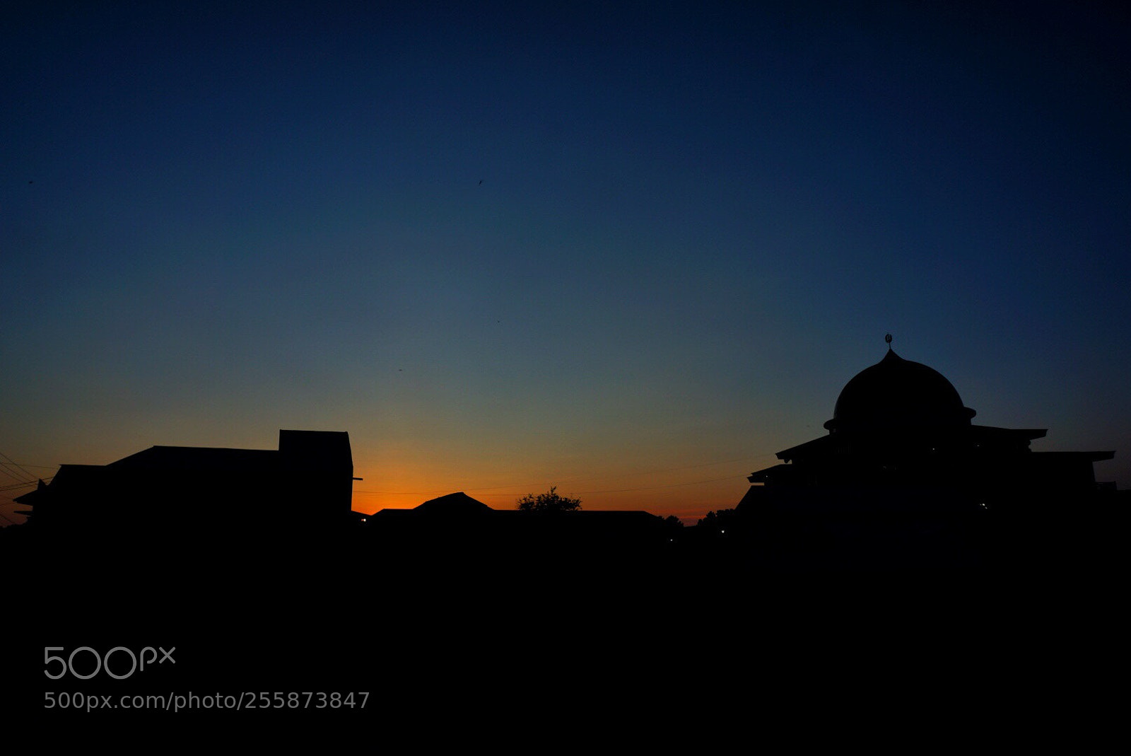 Sony a6000 sample photo. Sunset of borneo photography