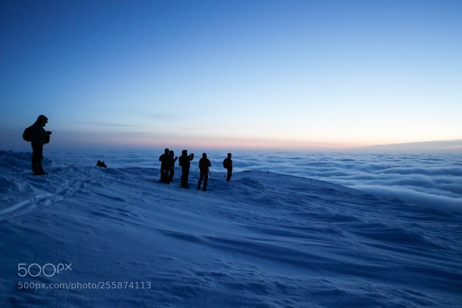 Canon EOS-1D X sample photo. Frozen planet photography