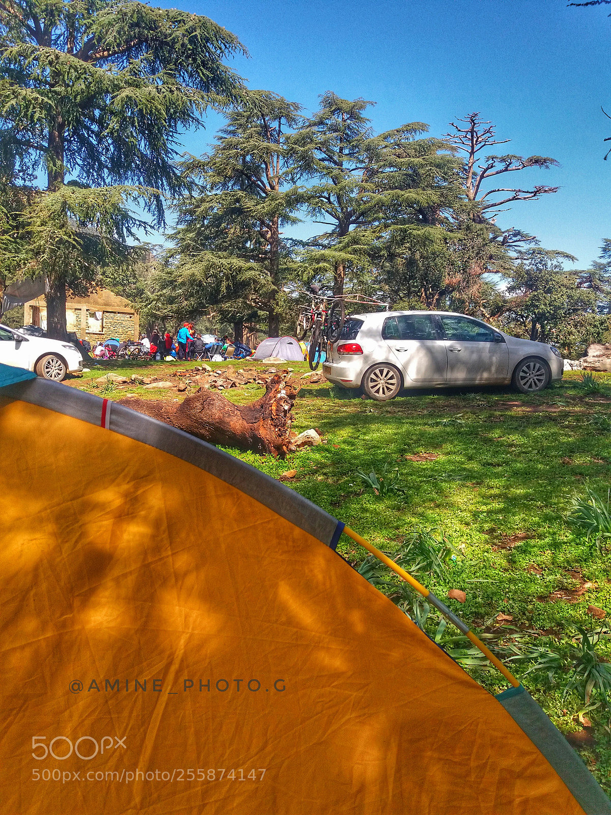 Samsung Galaxy J5(2016) sample photo. Untitled photography