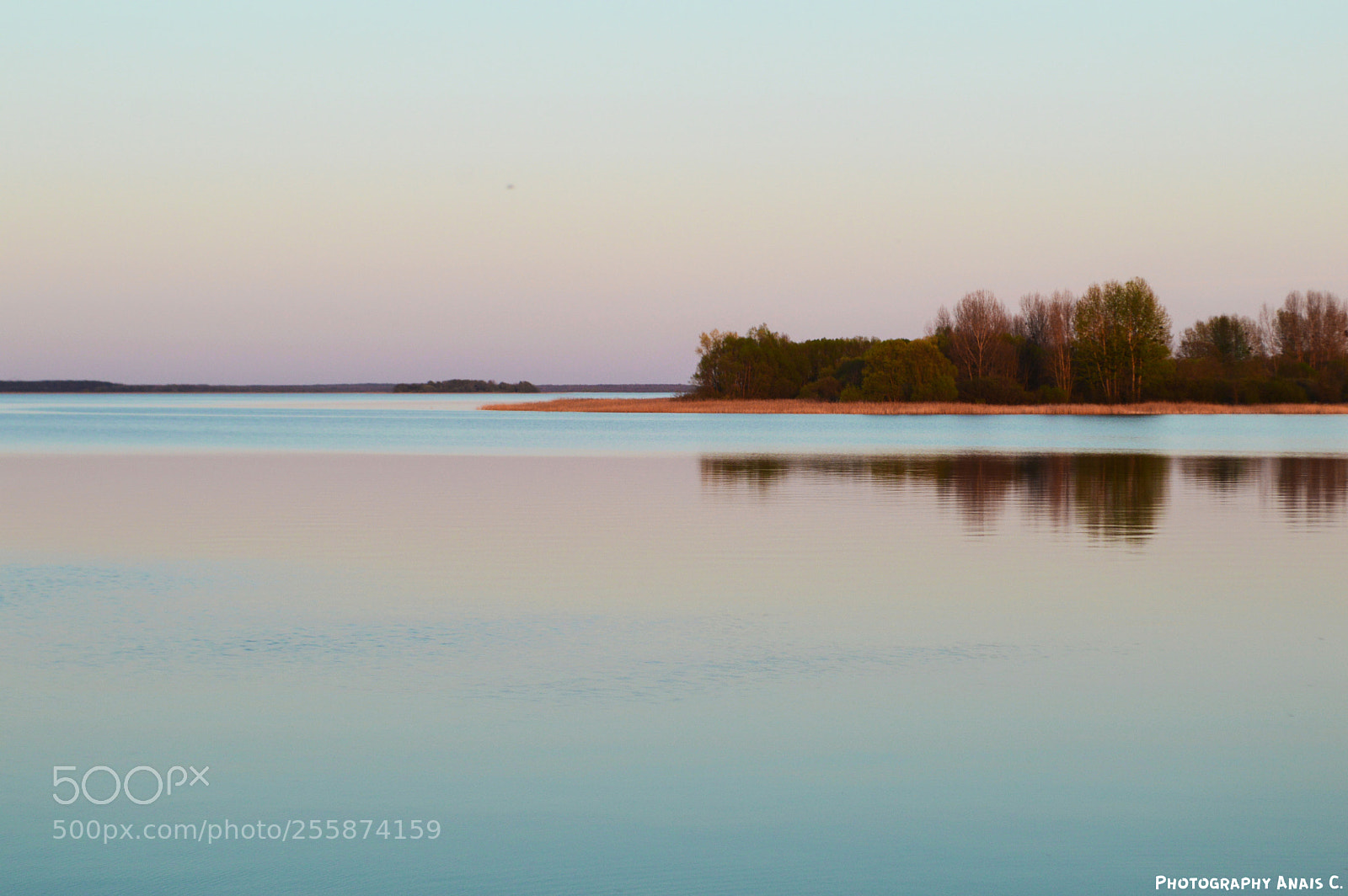Nikon D3200 sample photo. Unexpected poland (1) photography
