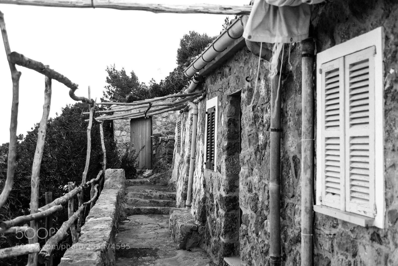 Nikon D600 sample photo. Old house photography