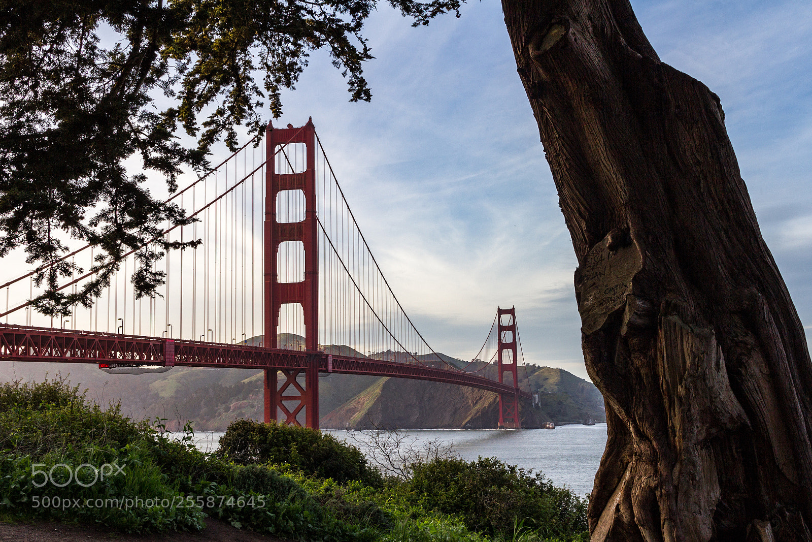 Canon EOS 60D sample photo. Framing golden gate photography