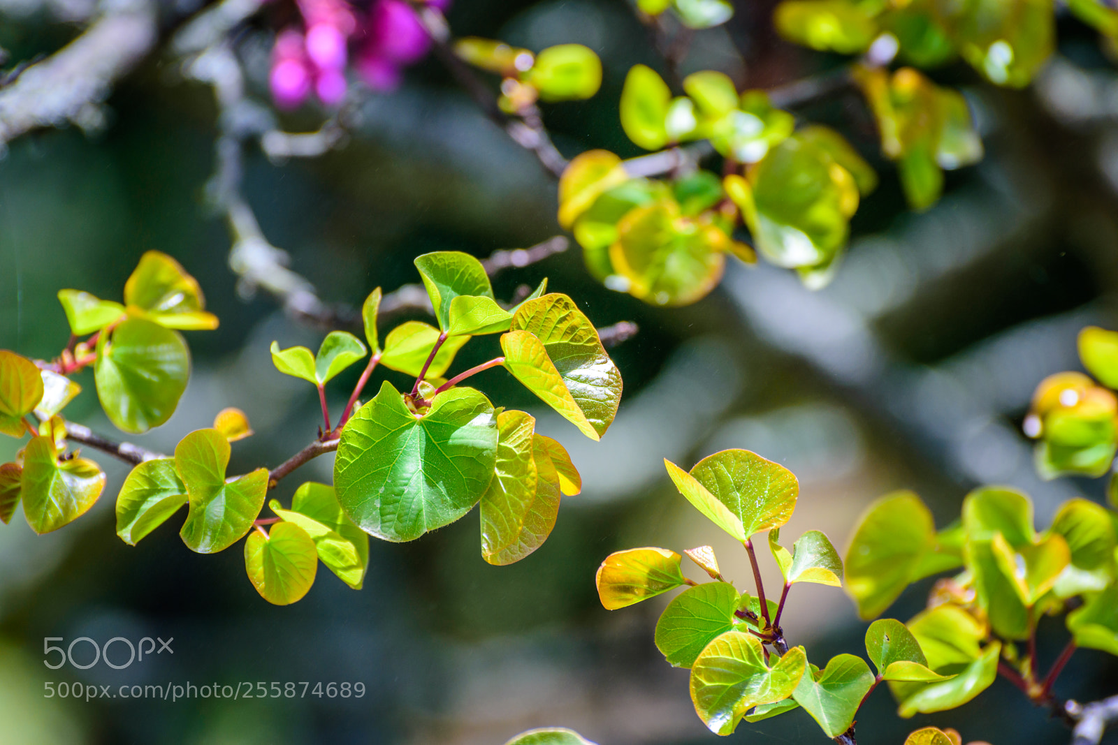 Nikon D7200 sample photo. Nature at its best photography