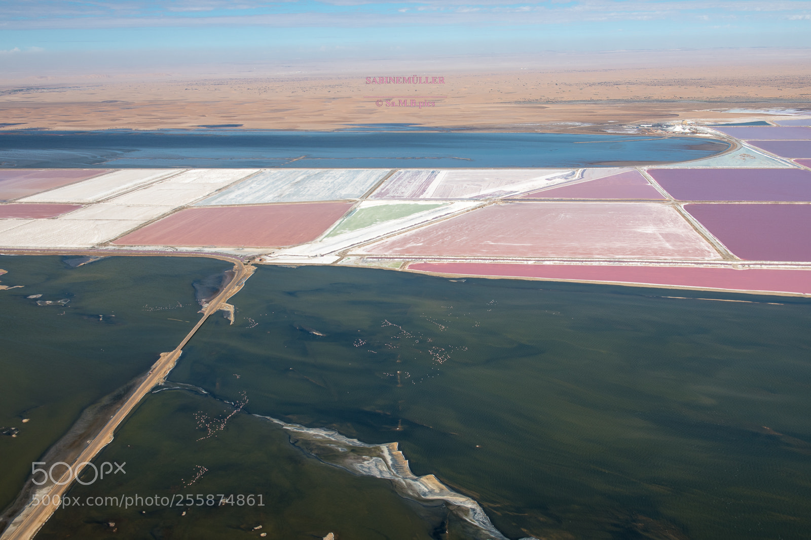 Nikon D850 sample photo. Salt plants, namibia 2018 photography