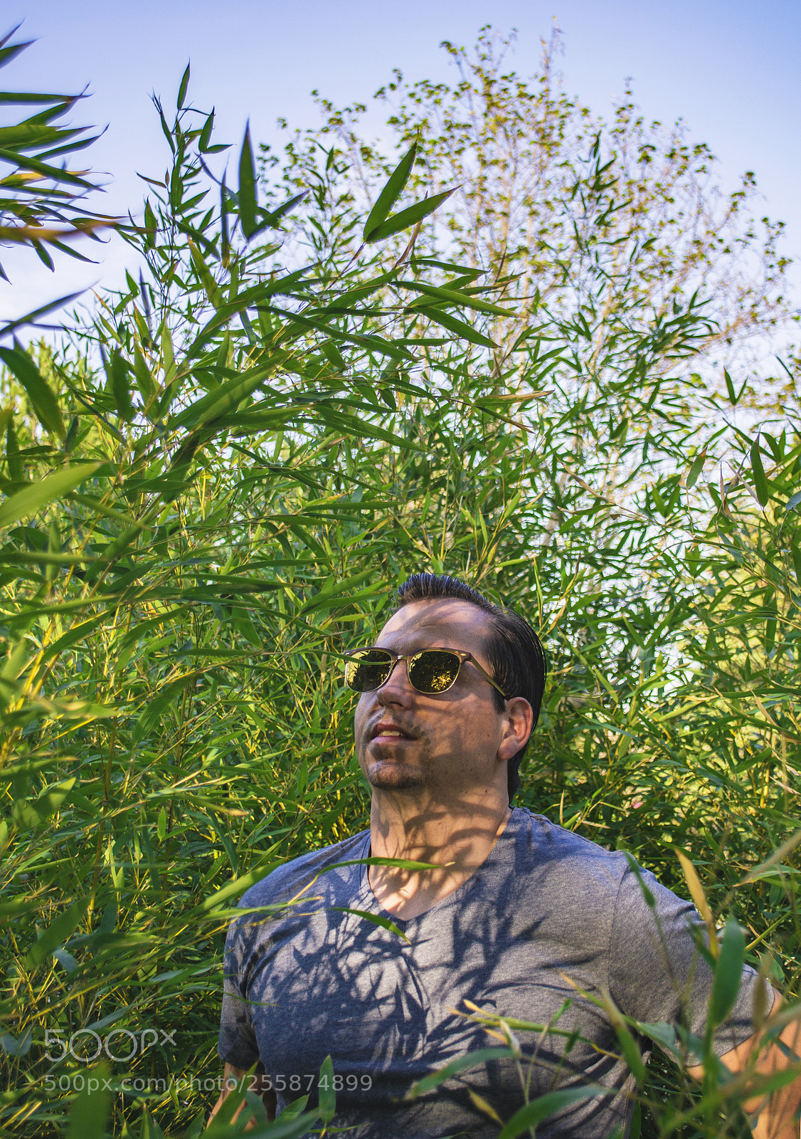 Nikon D7100 sample photo. In the bamboo. photography