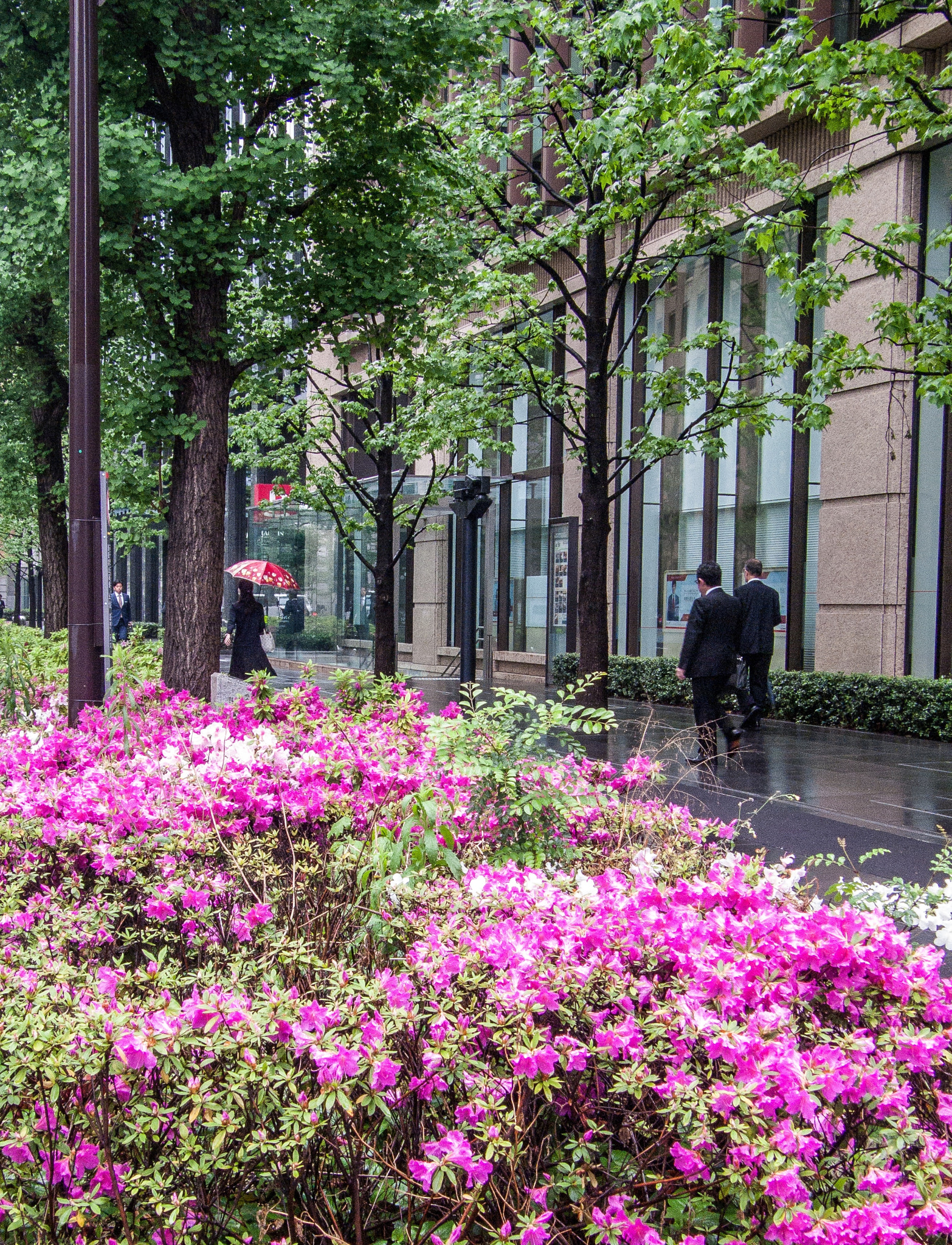 Olympus SP570UZ sample photo. Azalea's season photography