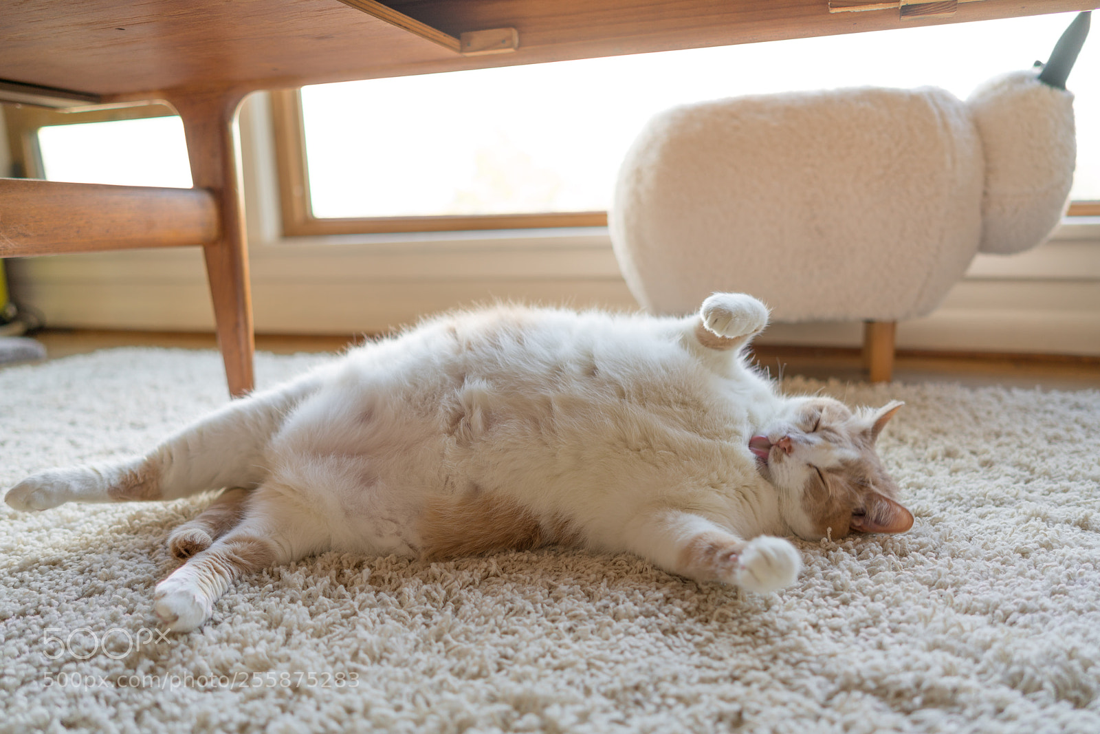 Sony a7R III sample photo. Grooming photography