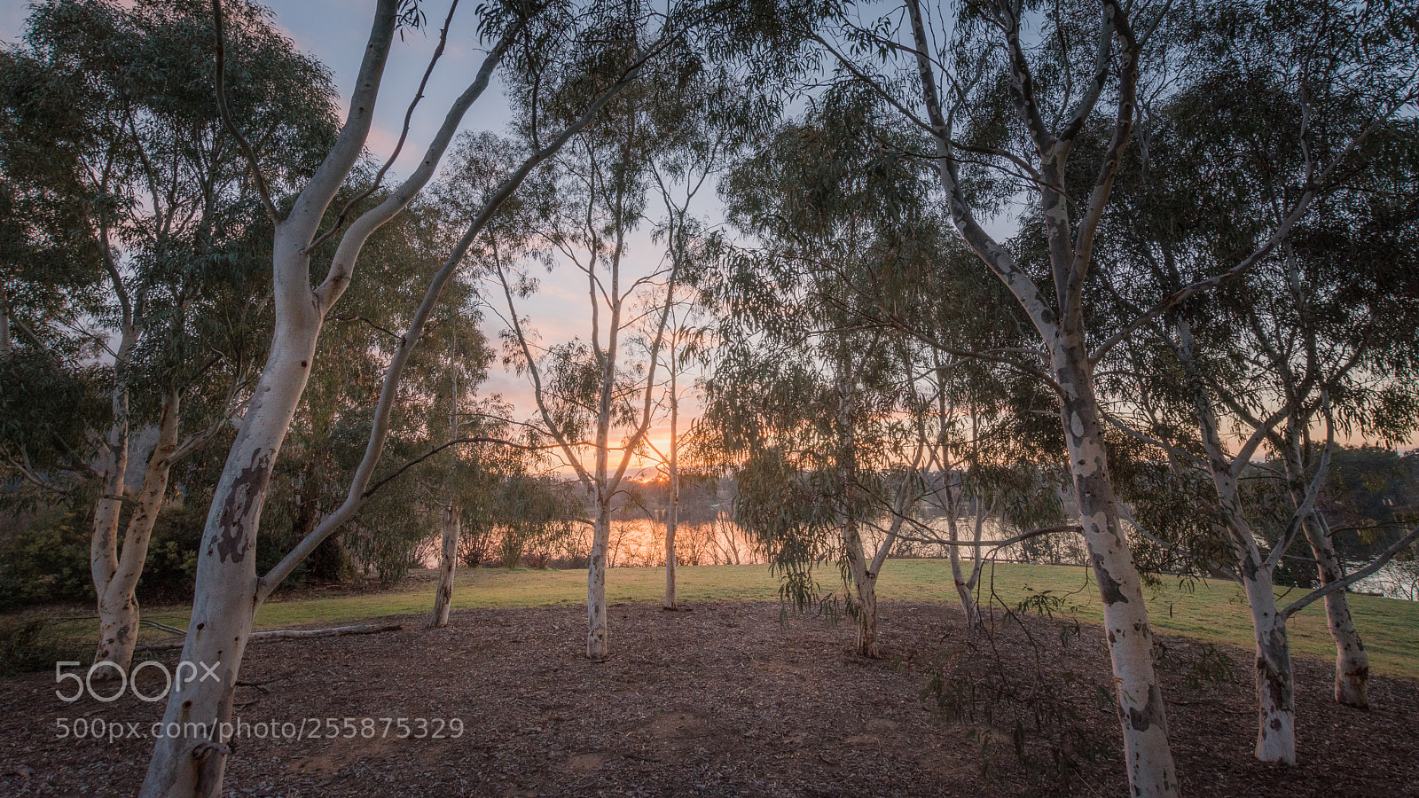 Nikon D7200 sample photo. Yarralumla sunset photography