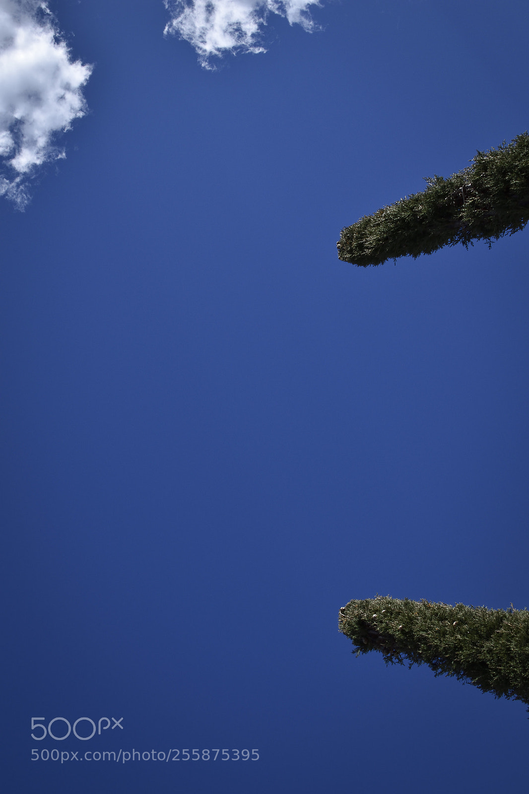 Nikon D5600 sample photo. Guns in the sky photography