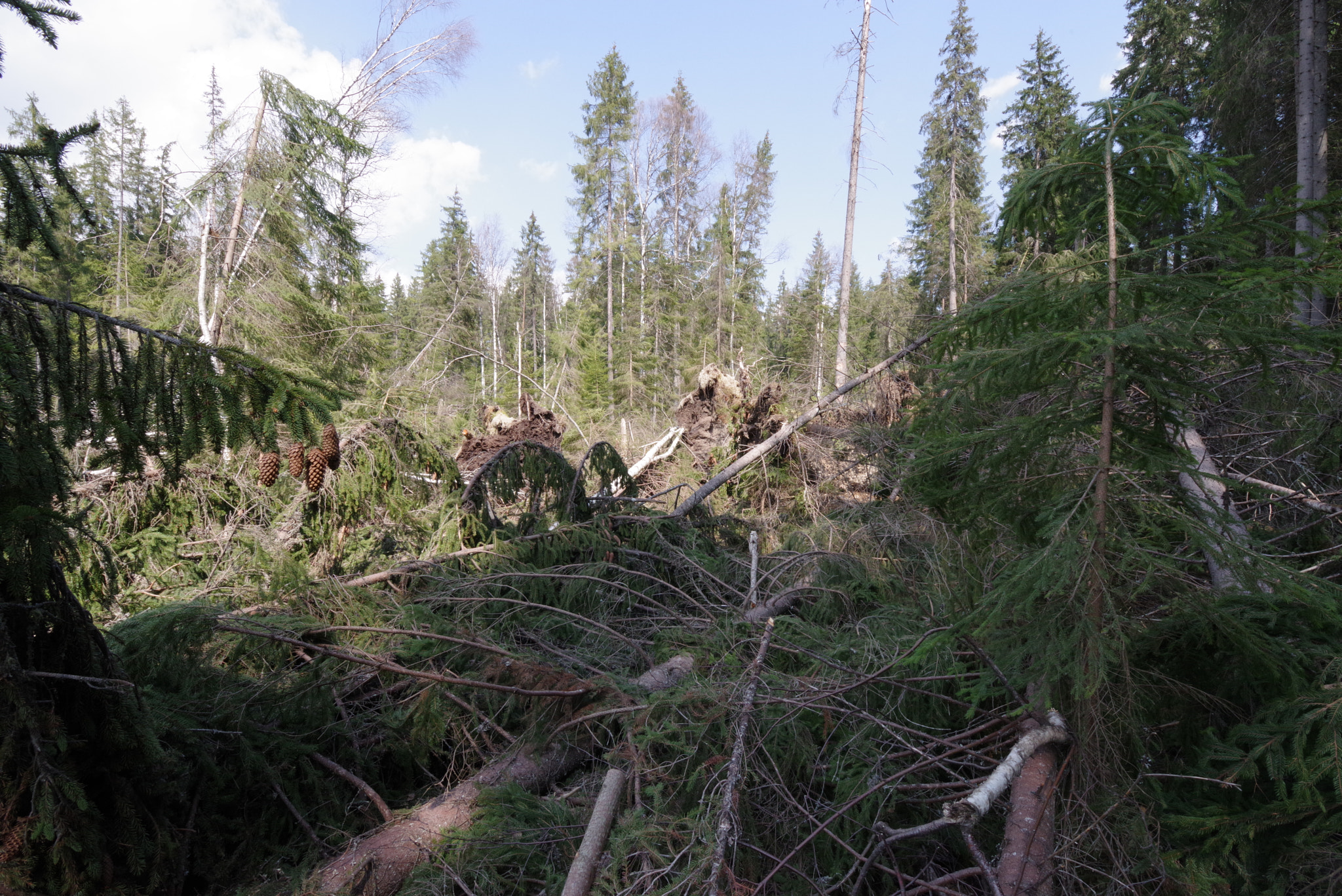 HD PENTAX-D FA 15-30mm F2.8 ED SDM WR sample photo. Angry mother nature 06 photography