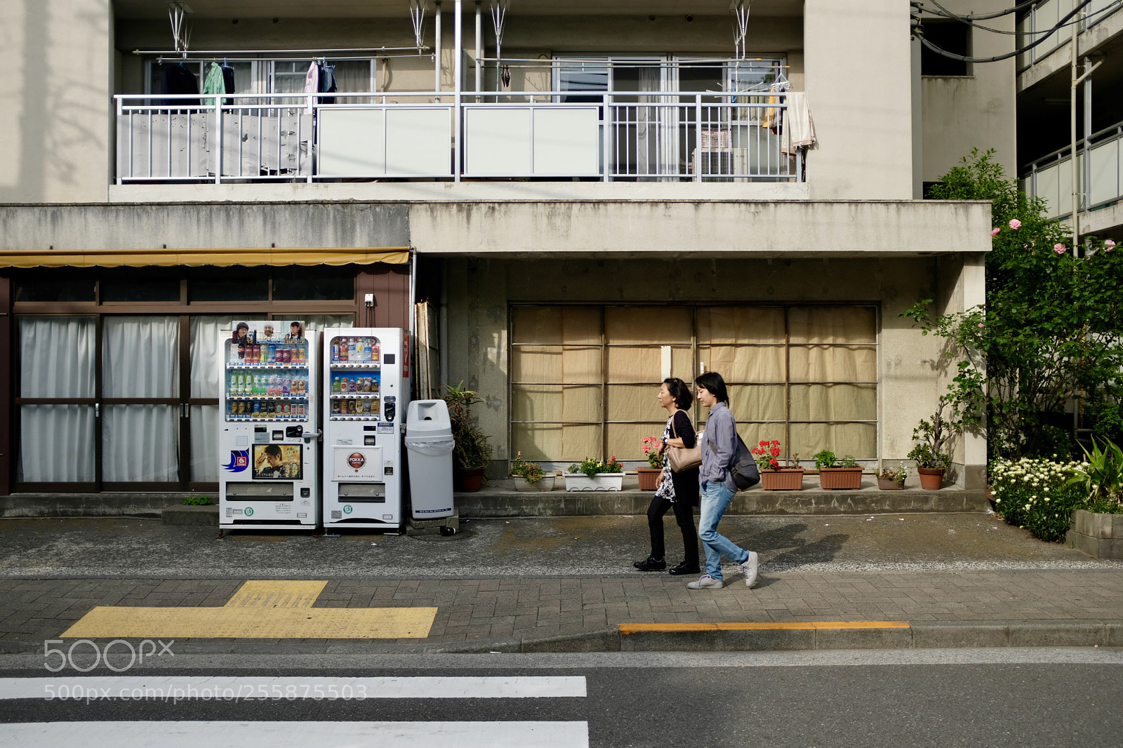 Fujifilm X100F sample photo. Afternoon.  photography