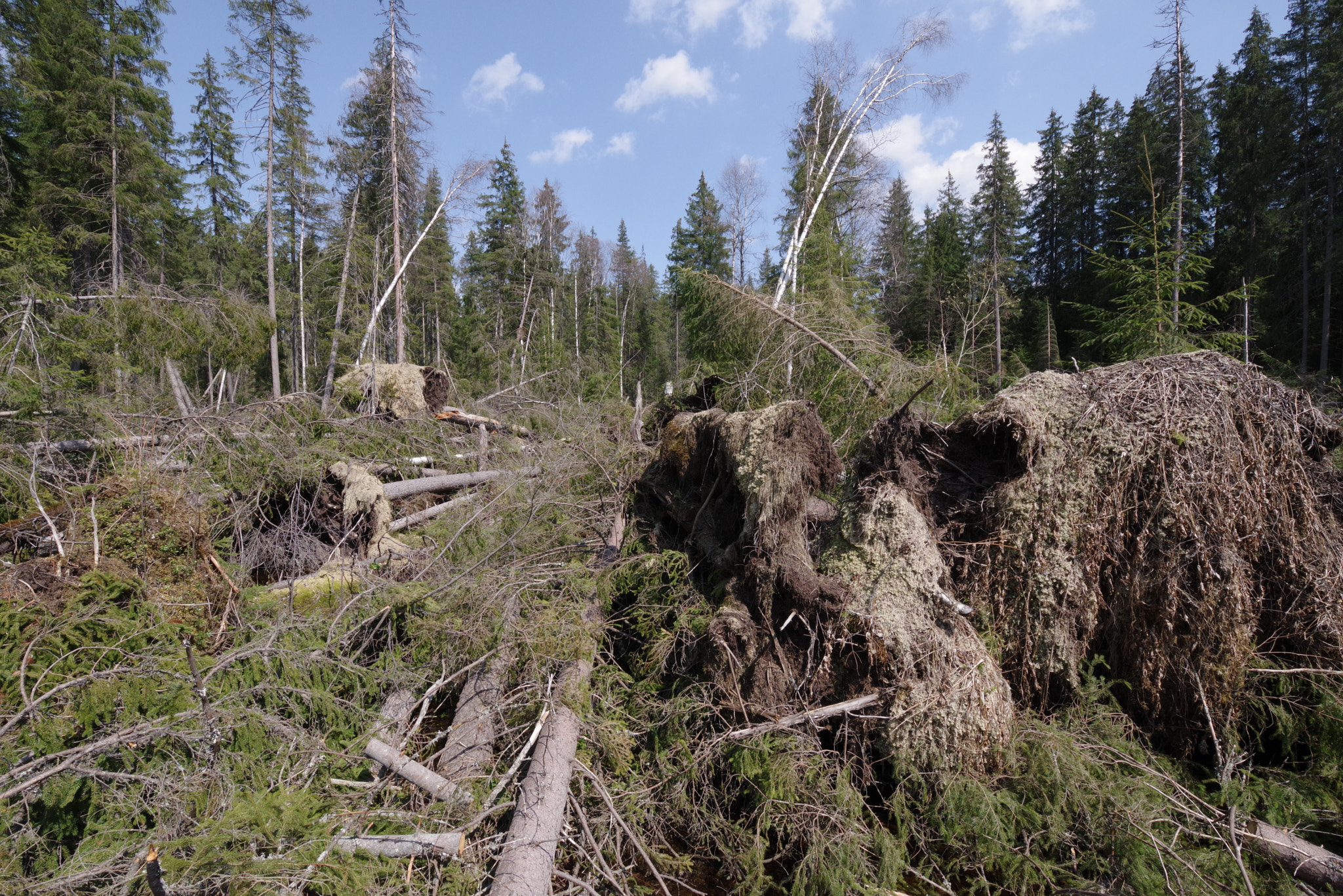 HD PENTAX-D FA 15-30mm F2.8 ED SDM WR sample photo. Angry mother nature 05 photography