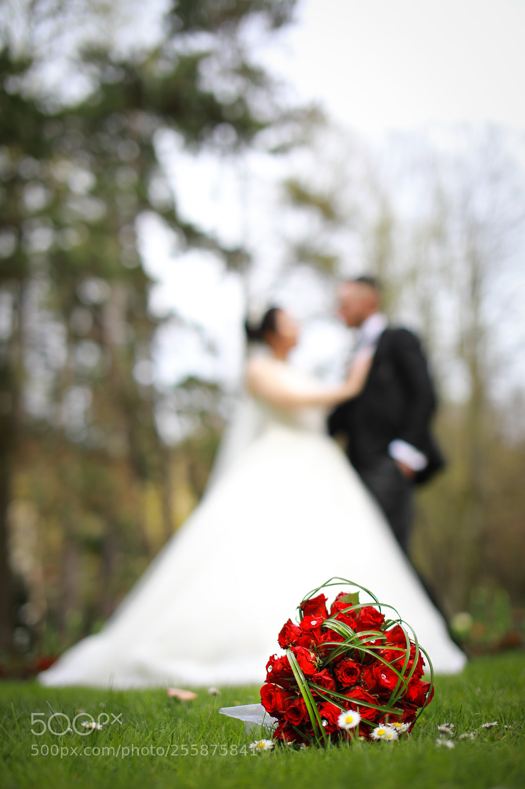 Canon EOS 5D Mark IV sample photo. Wedding photography