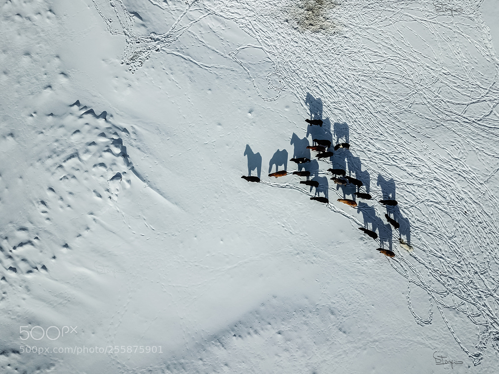 DJI FC220 sample photo. Artic shadows photography