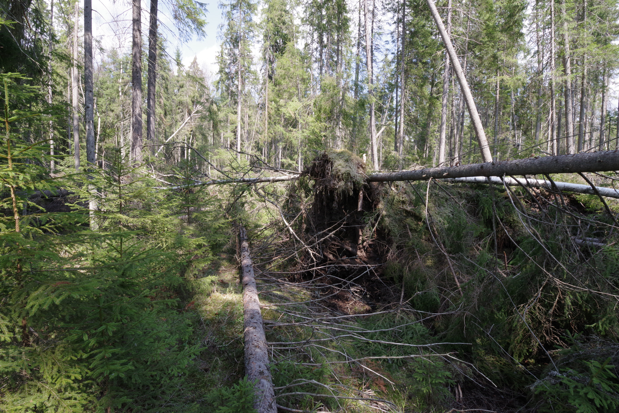 HD PENTAX-D FA 15-30mm F2.8 ED SDM WR sample photo. Angry mother nature 03 photography
