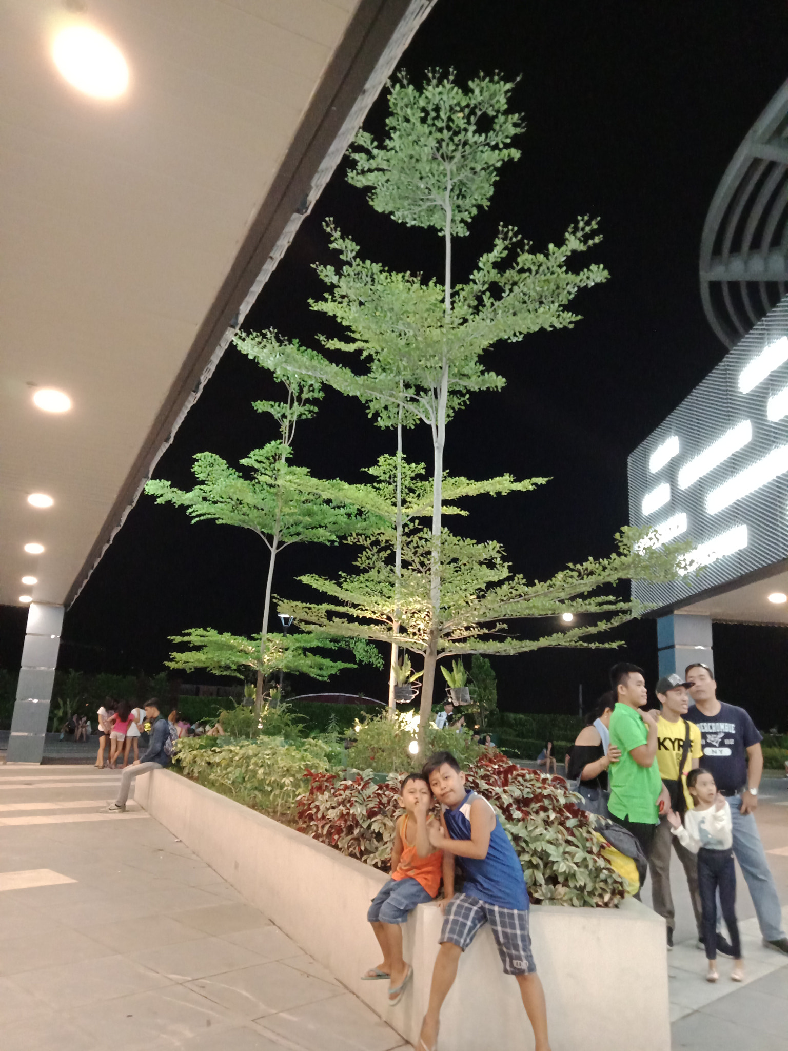 OPPO CPH1729 sample photo. Plant in the island .... photography